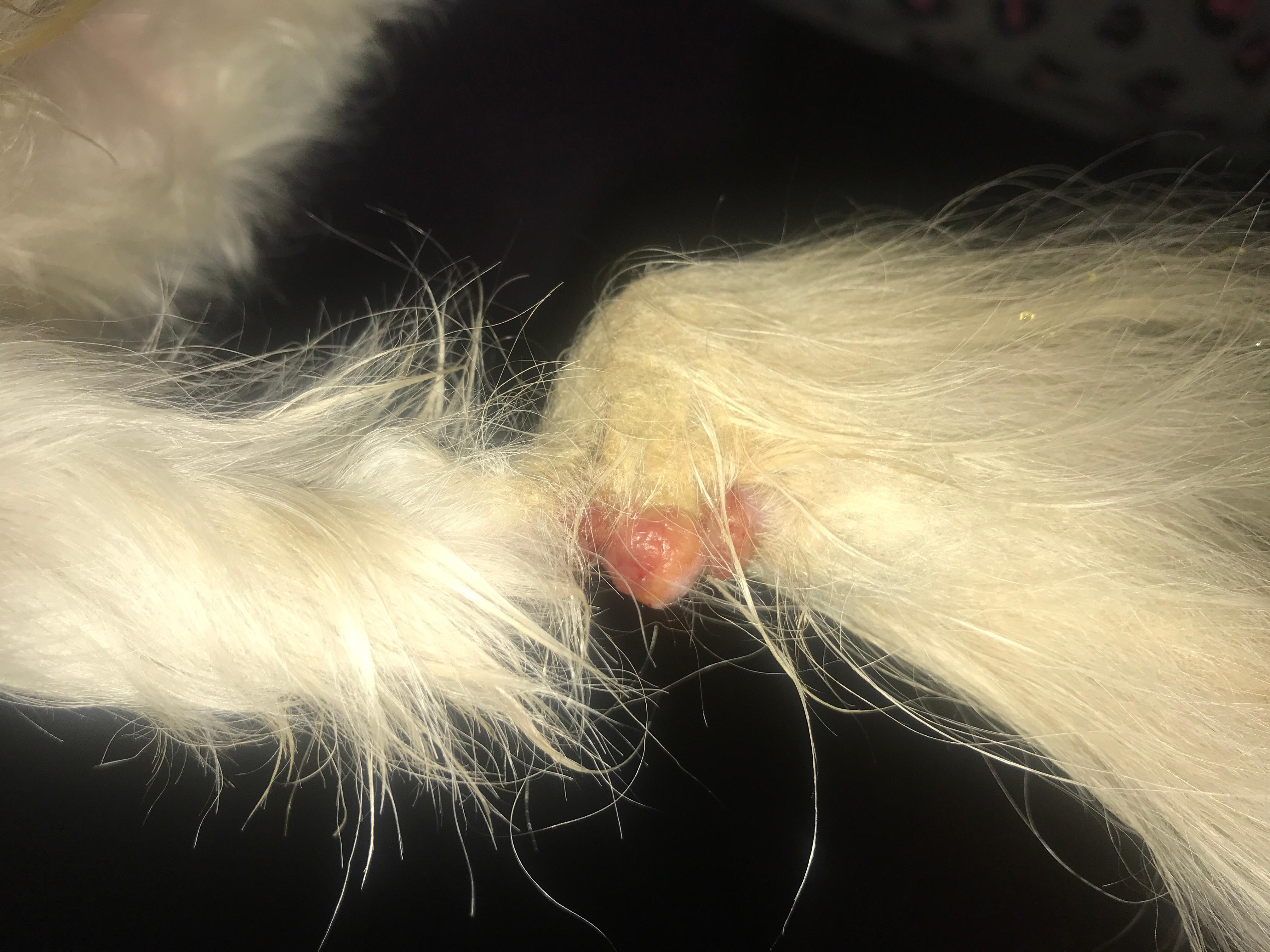 Question details sensitive content