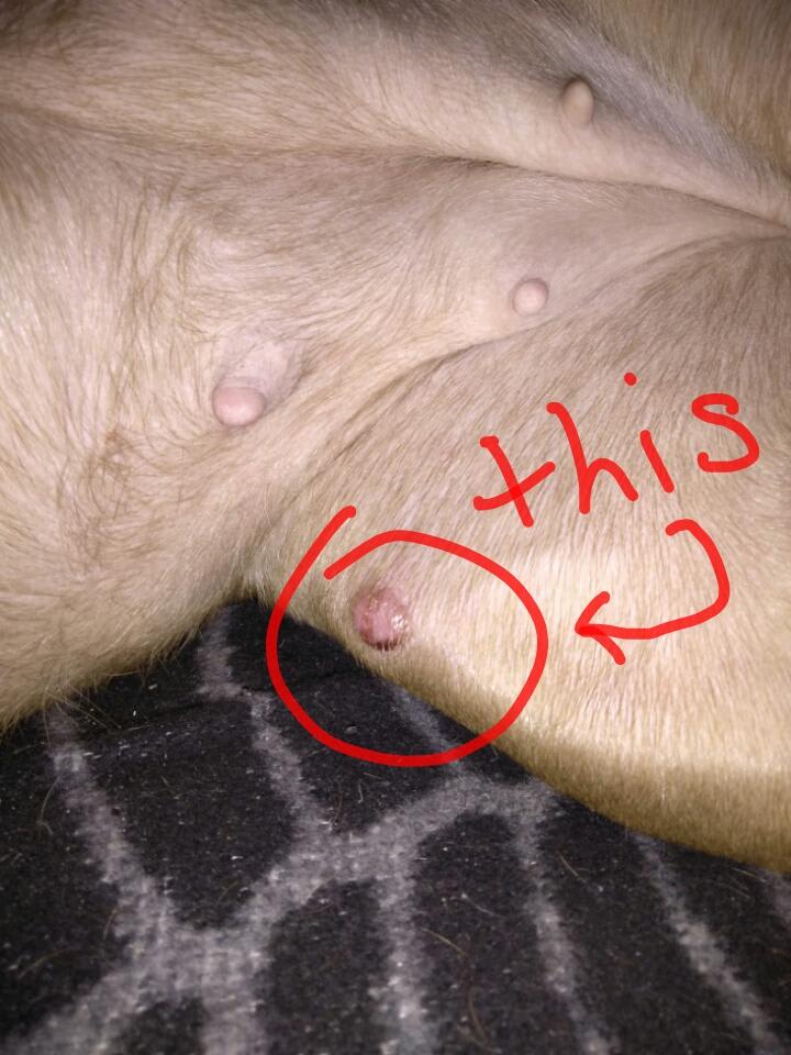 Question details sensitive content