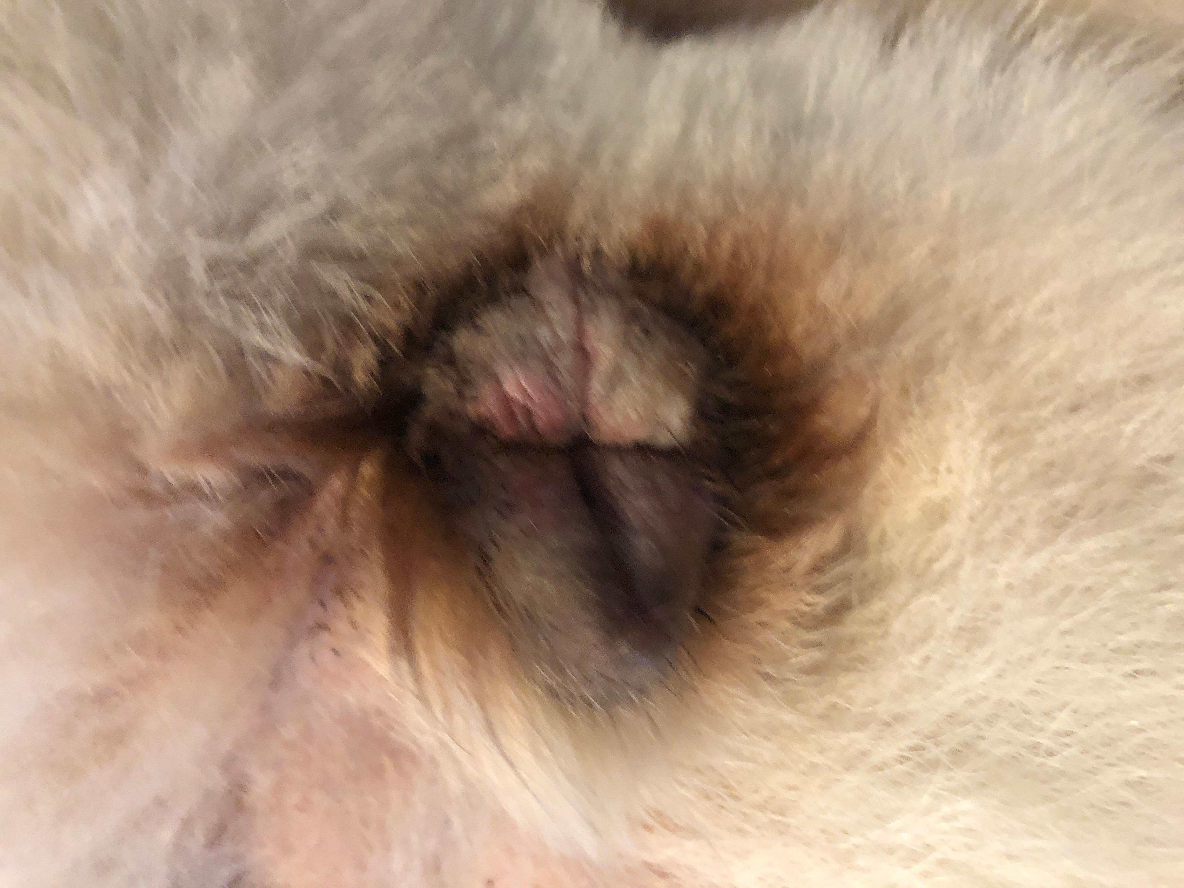 Question details sensitive content