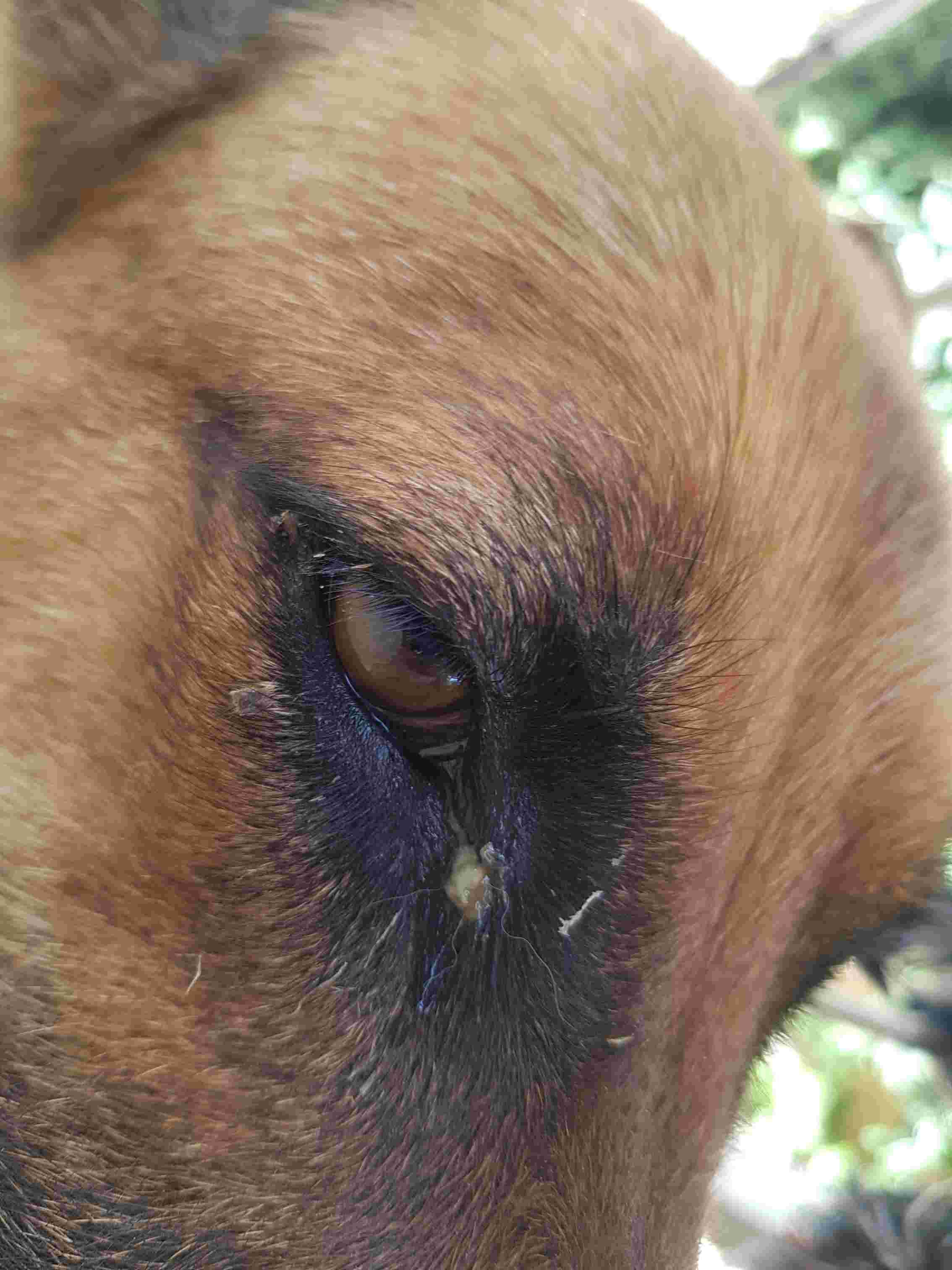 Question details sensitive content