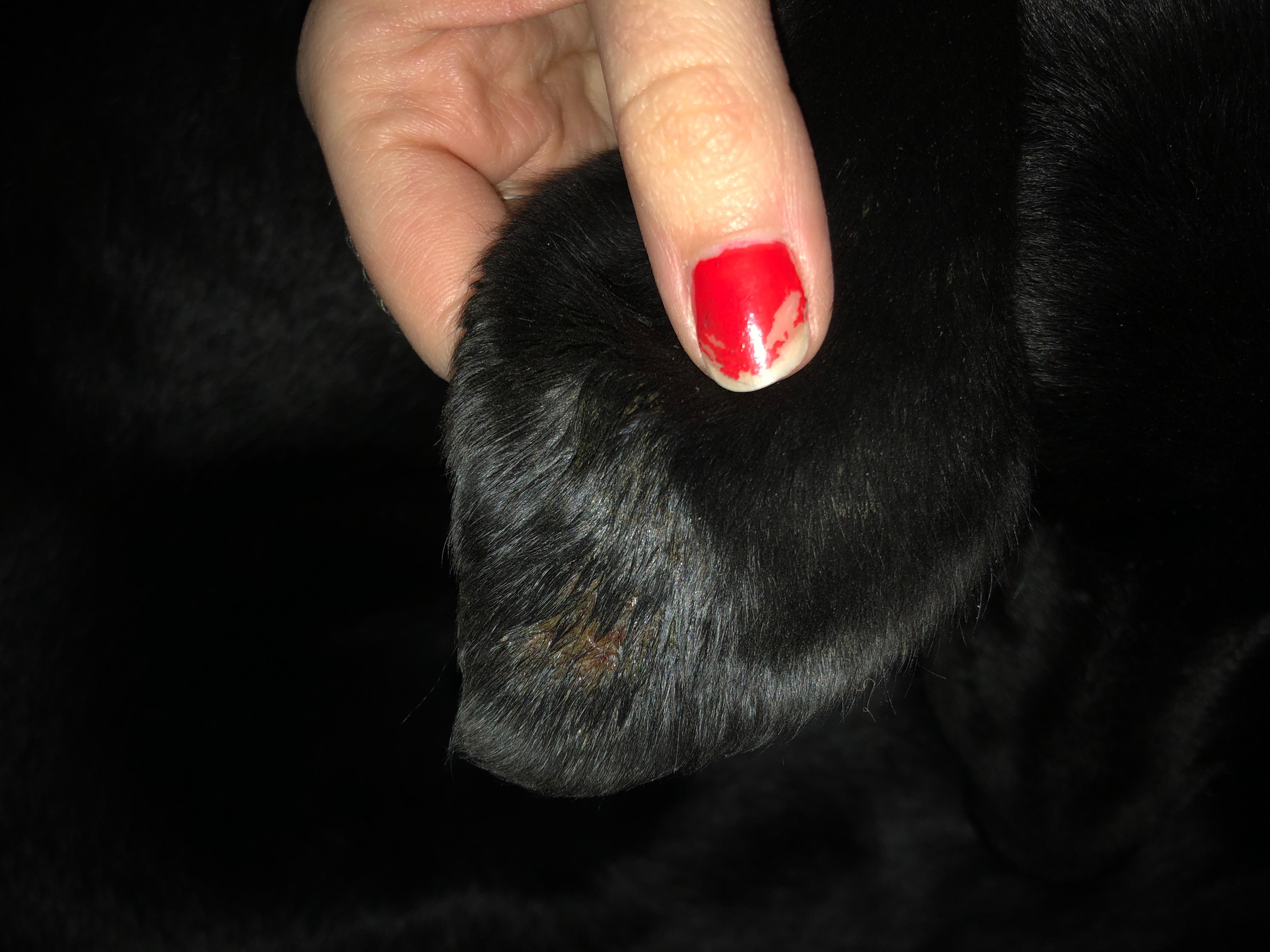 Question details sensitive content