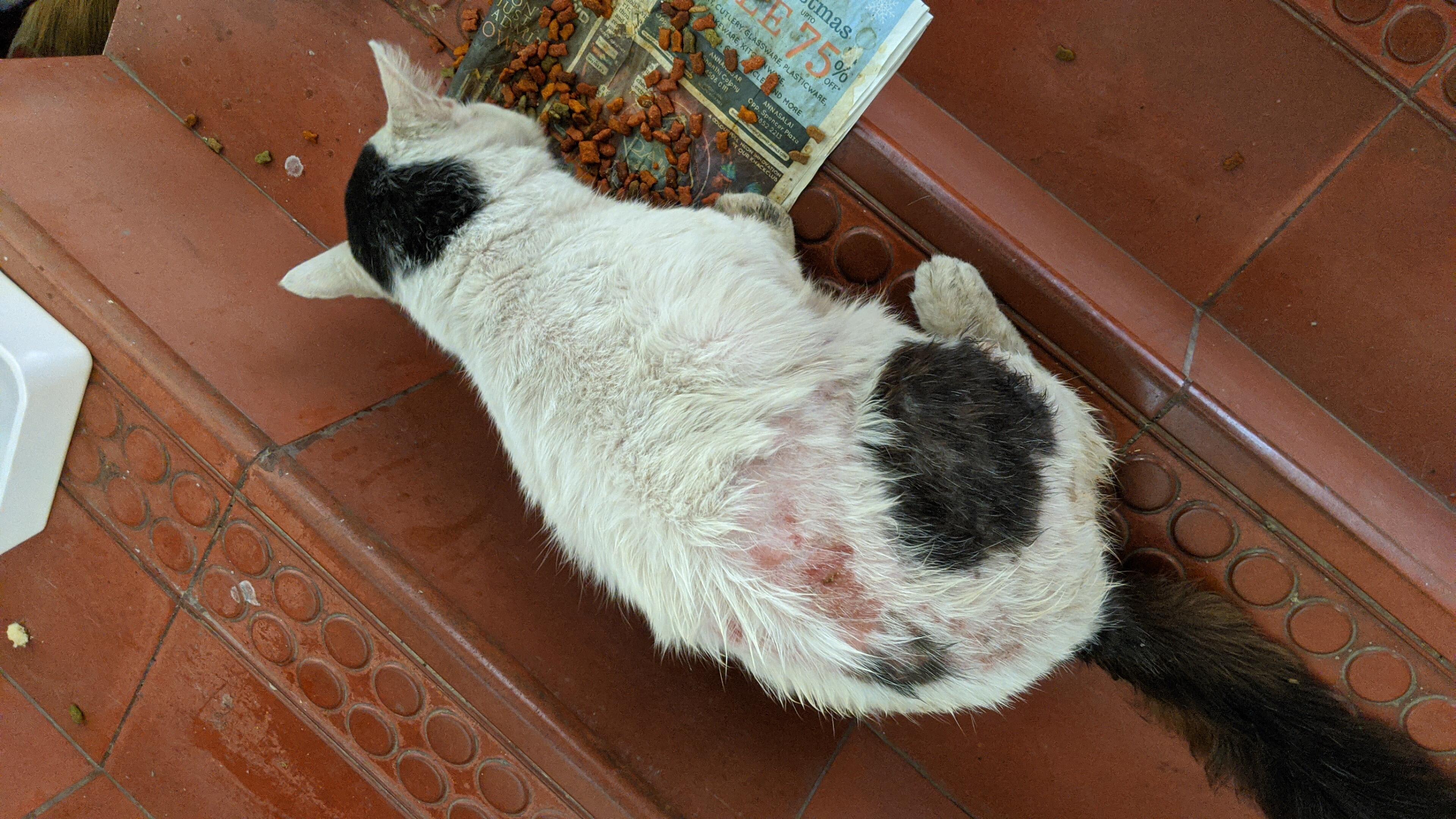 Question details sensitive content