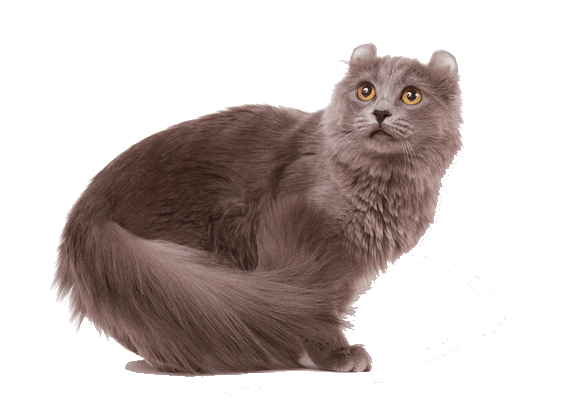 Petco Pet Education Center