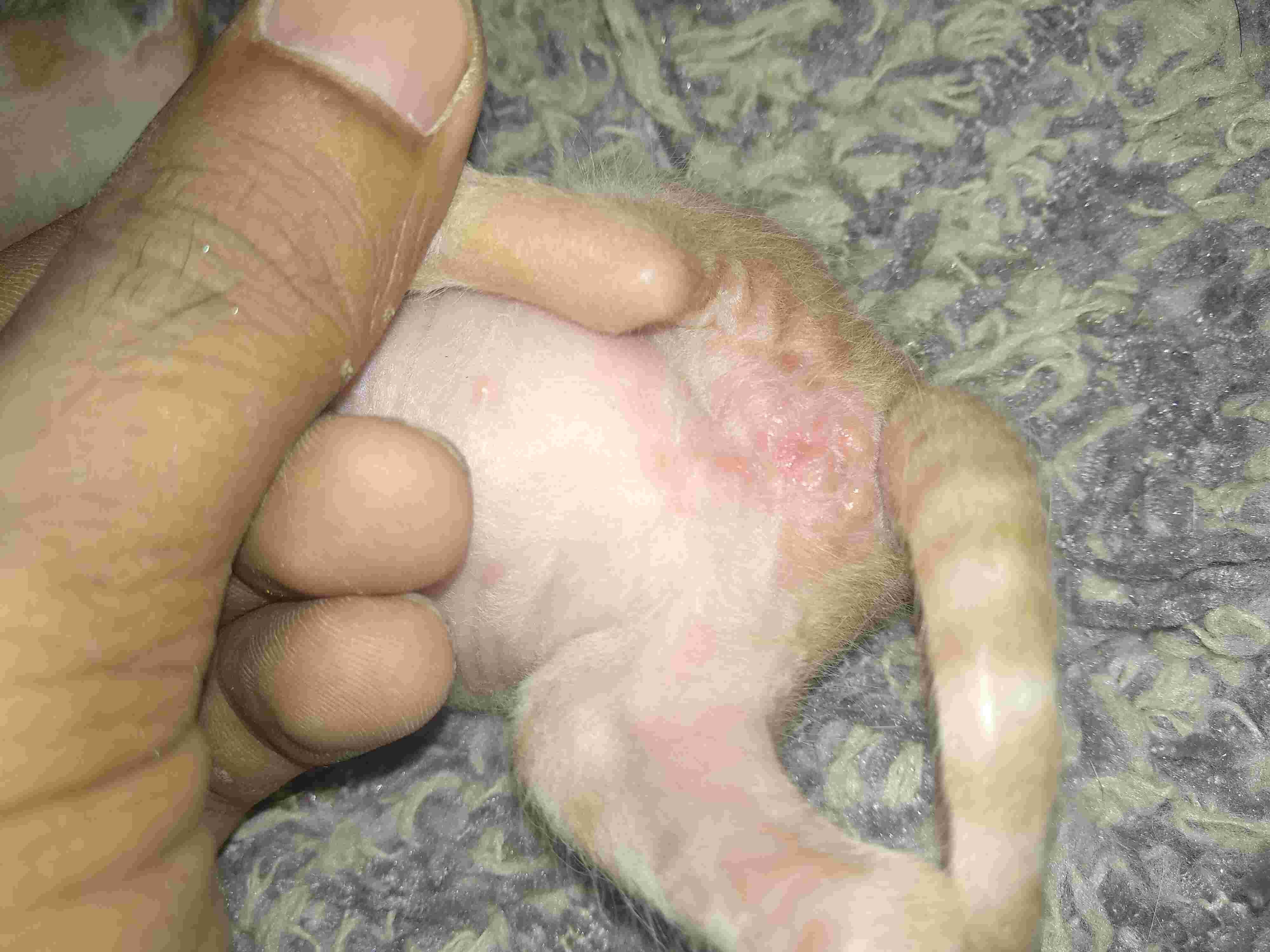 Question details sensitive content