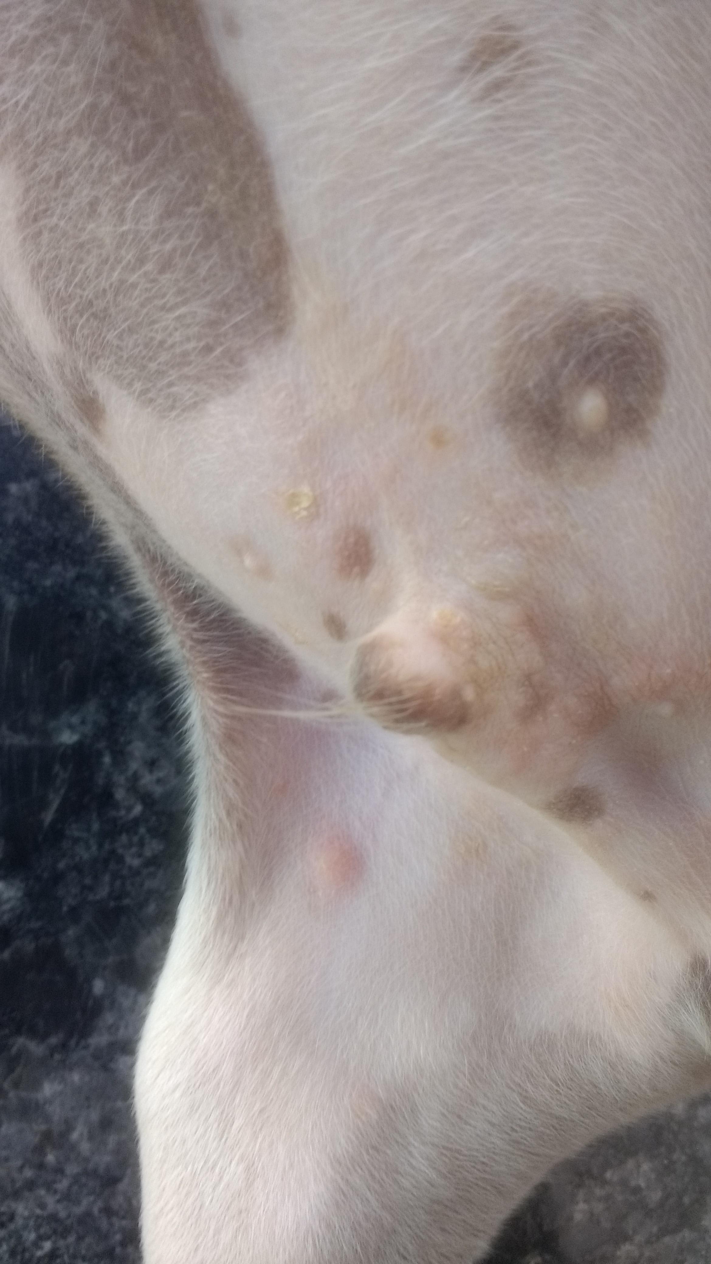 Question details sensitive content