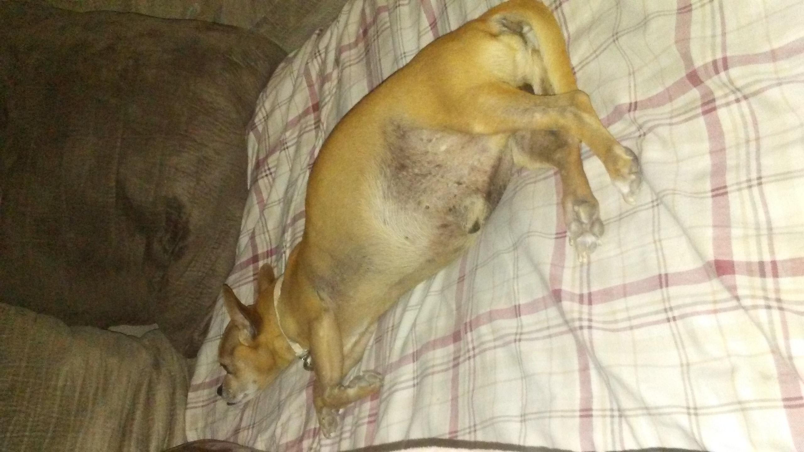 Question details sensitive content