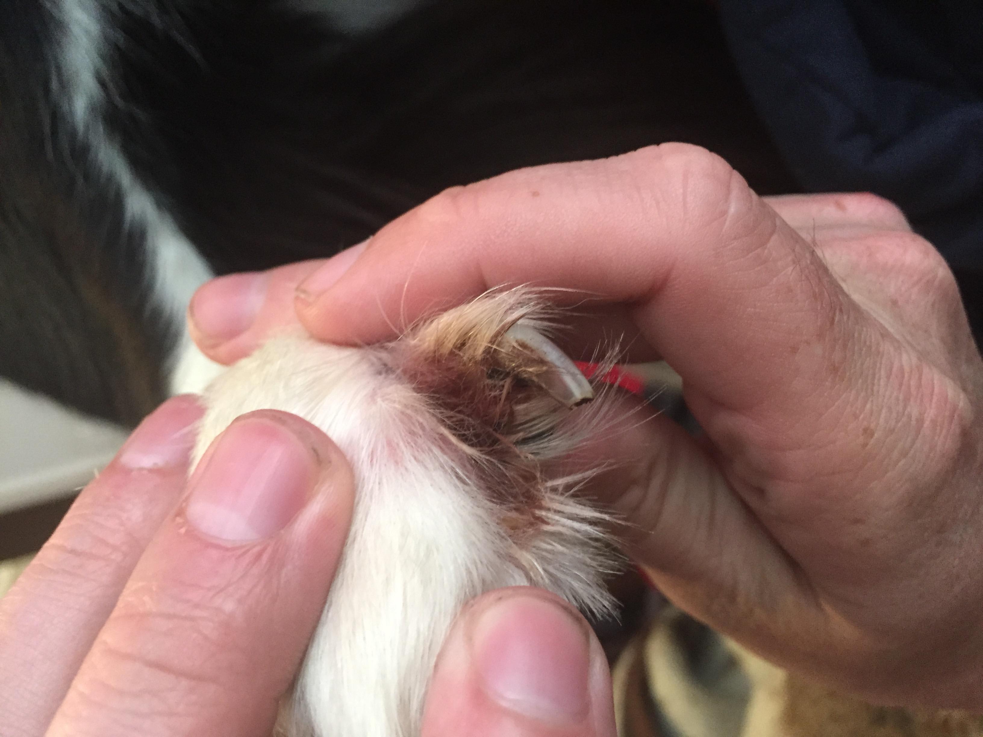 Question details sensitive content