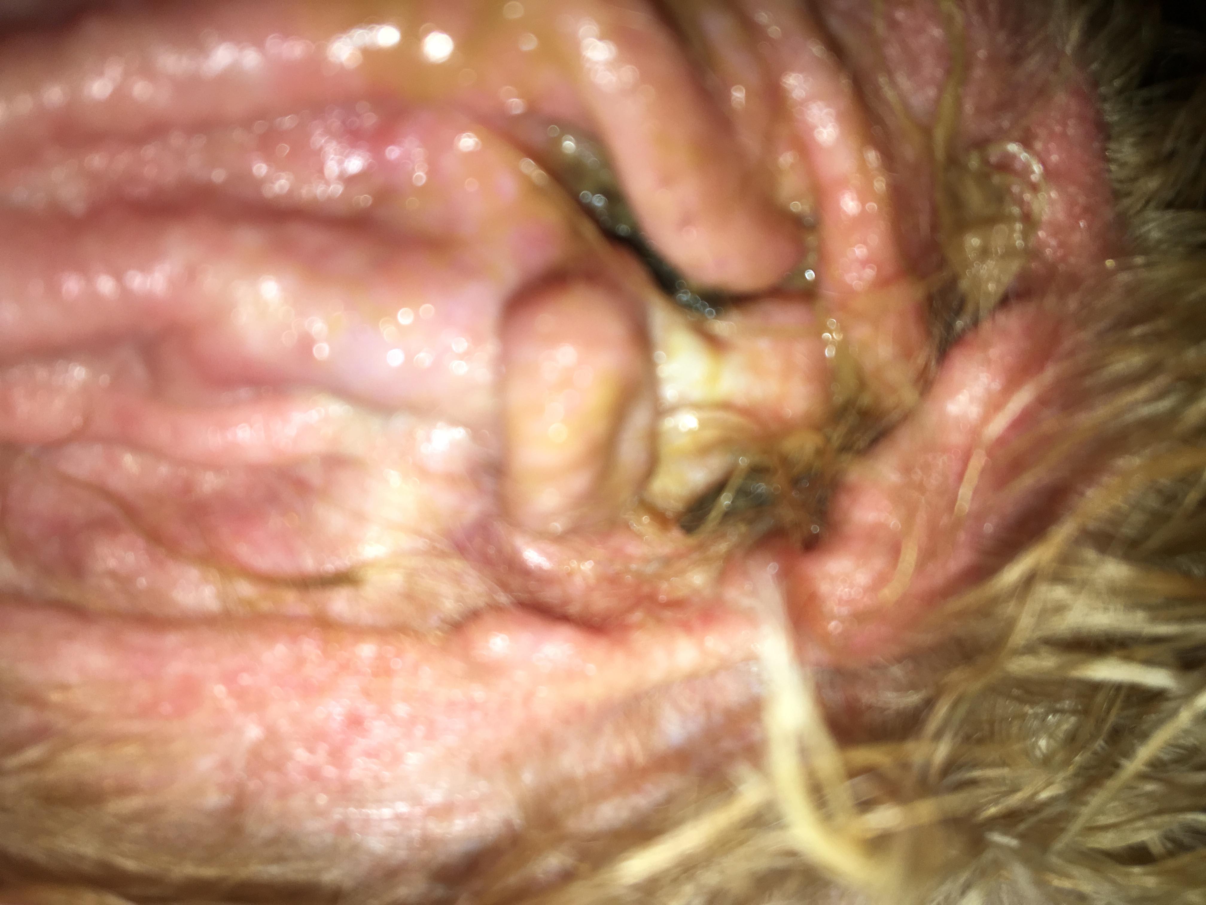 Question details sensitive content