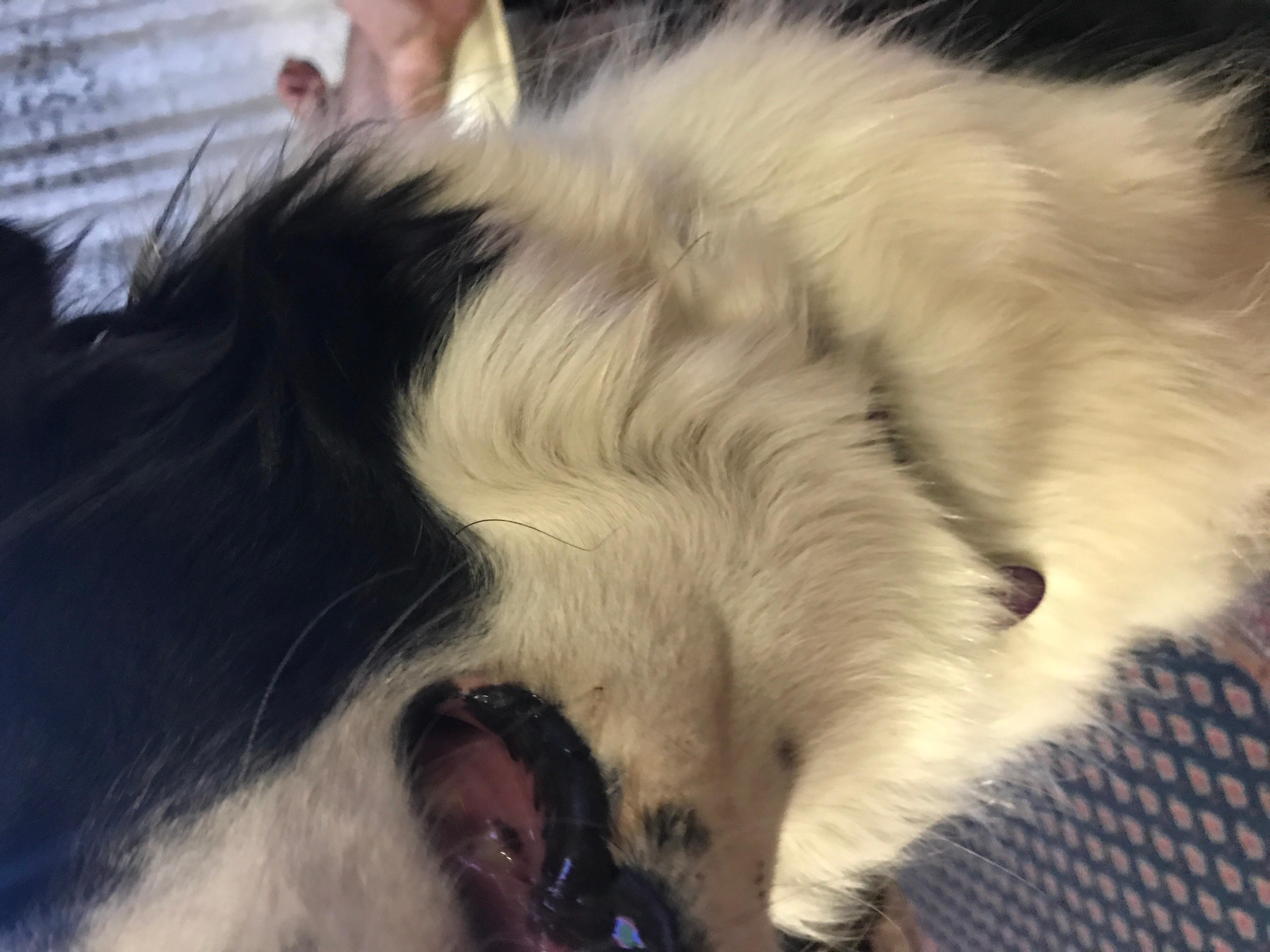 Question details sensitive content