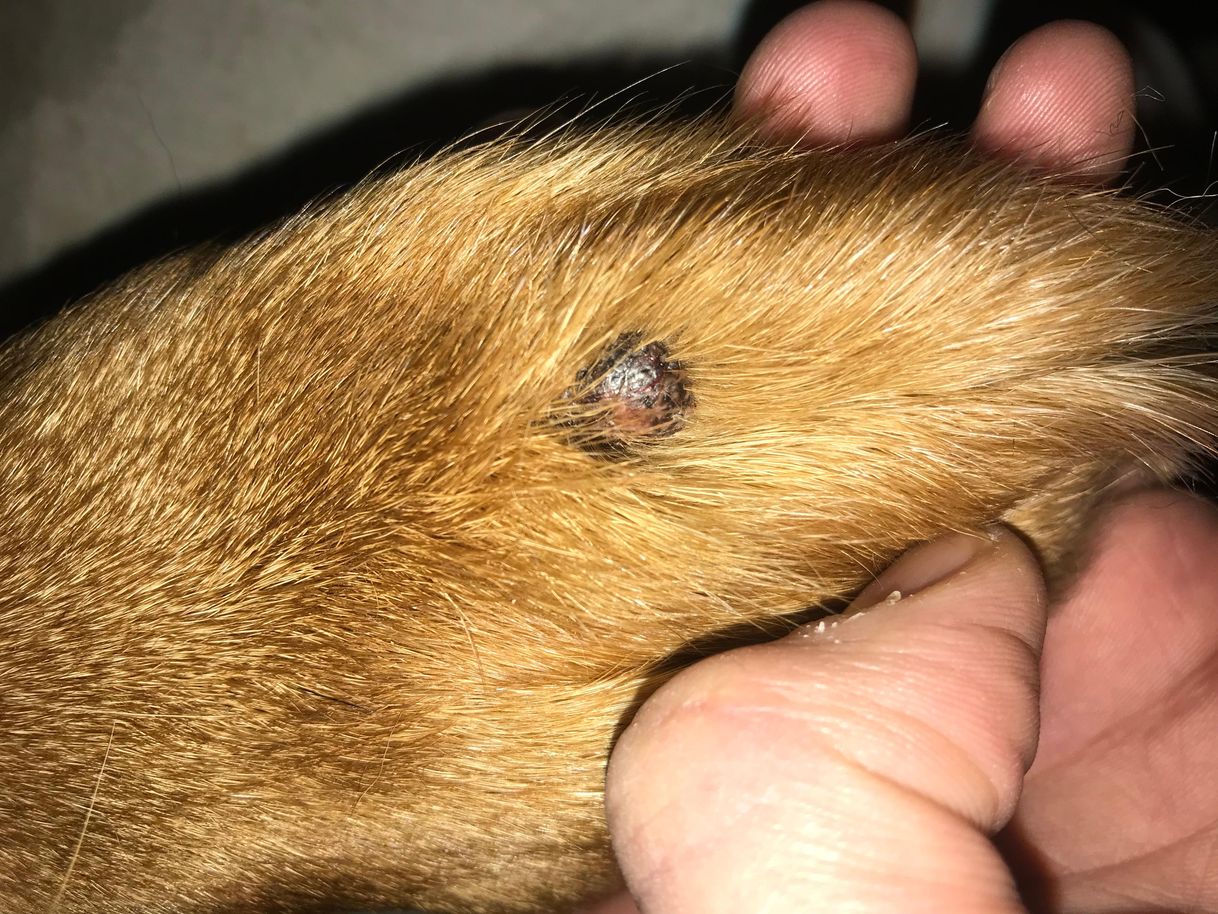 Question details sensitive content