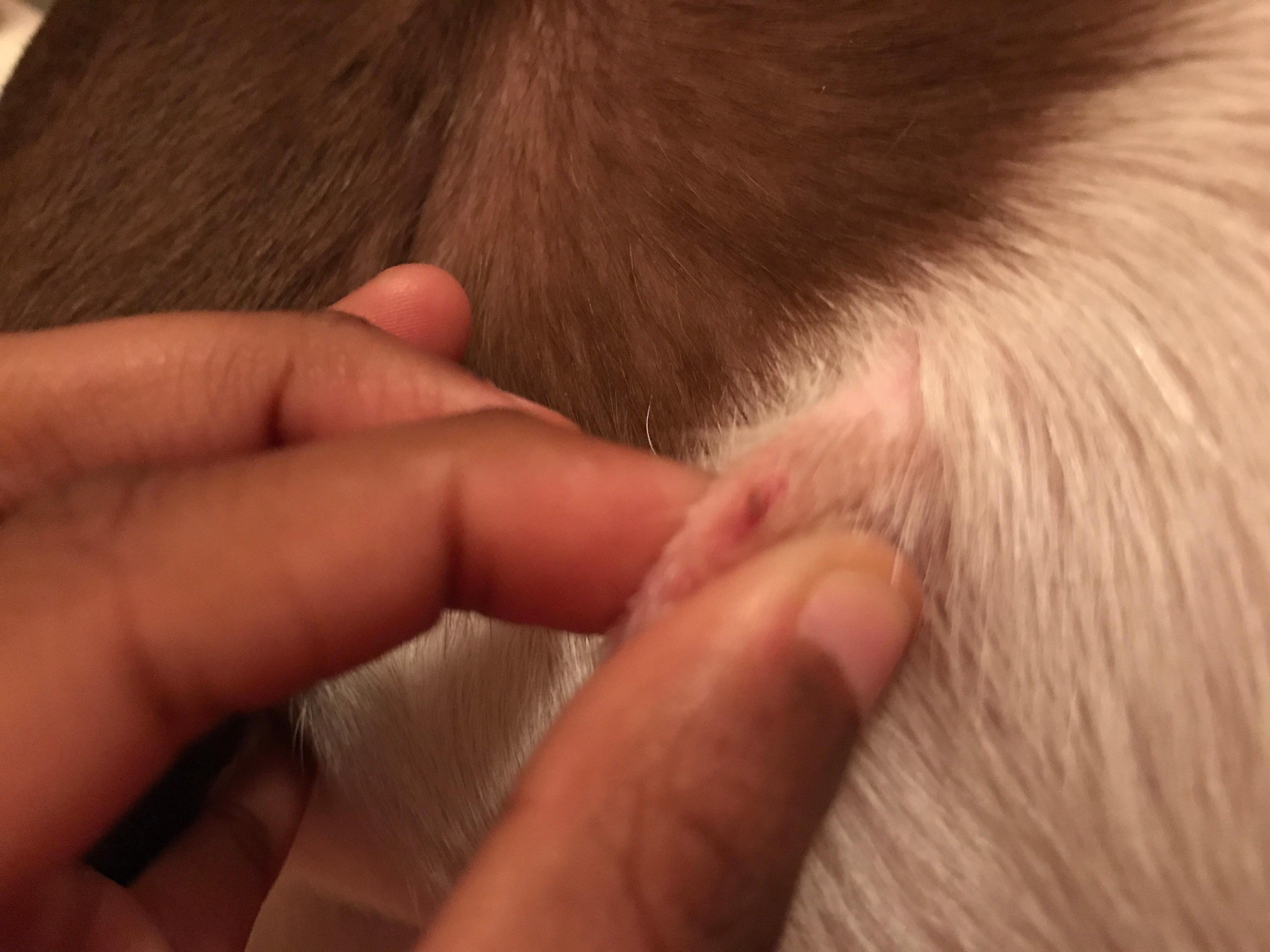 Question details sensitive content