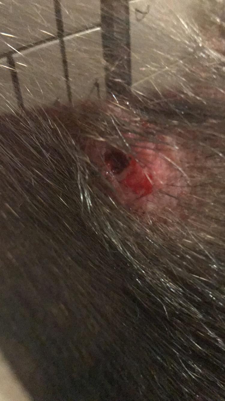 Question details sensitive content