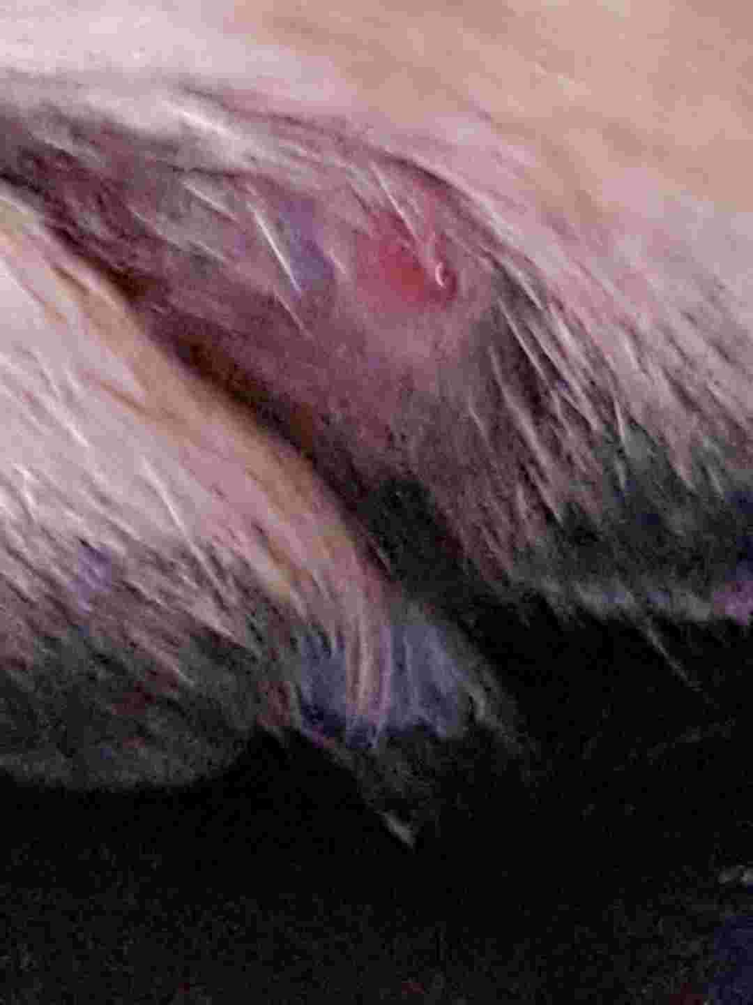 Question details sensitive content