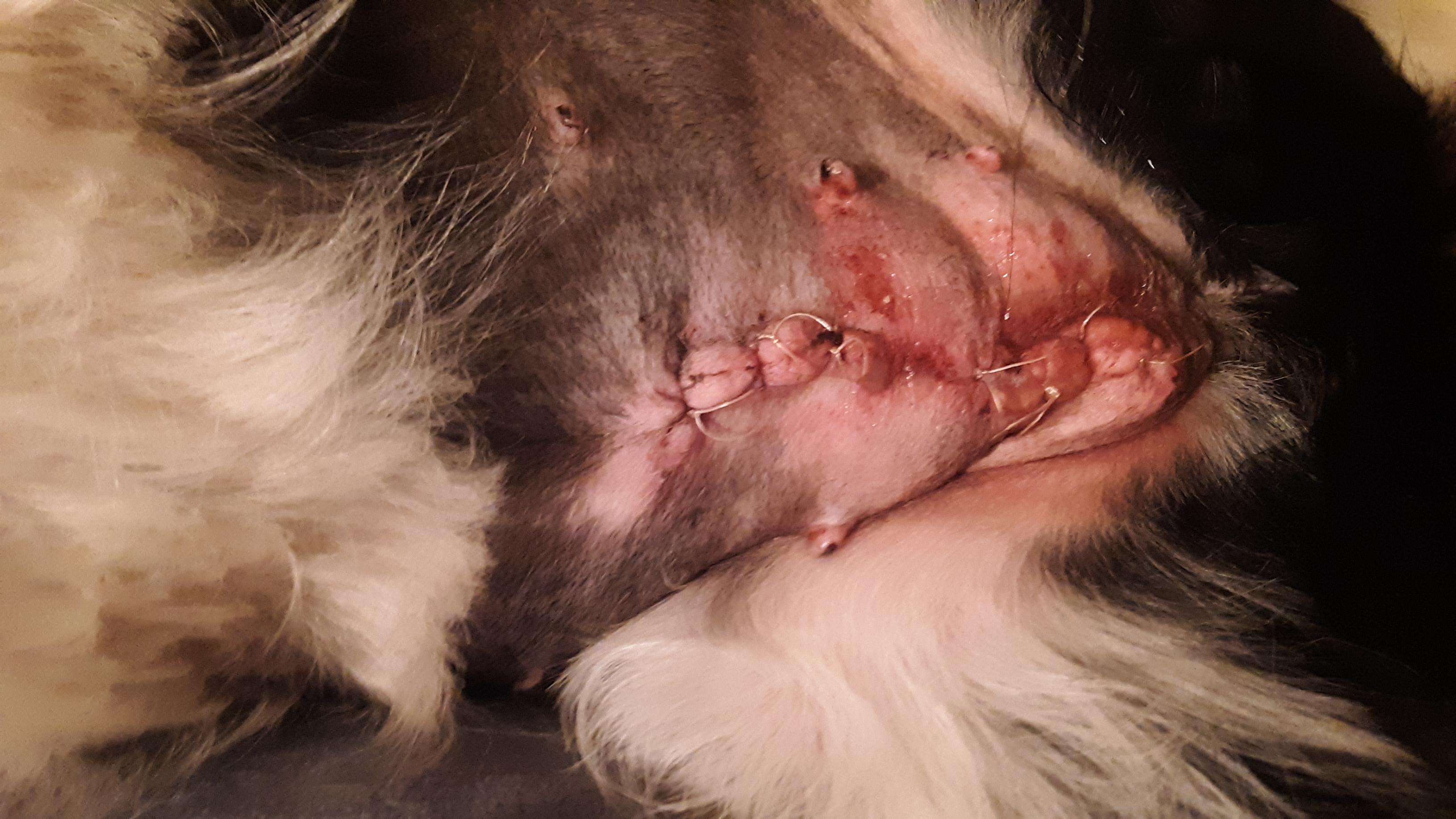 Question details sensitive content