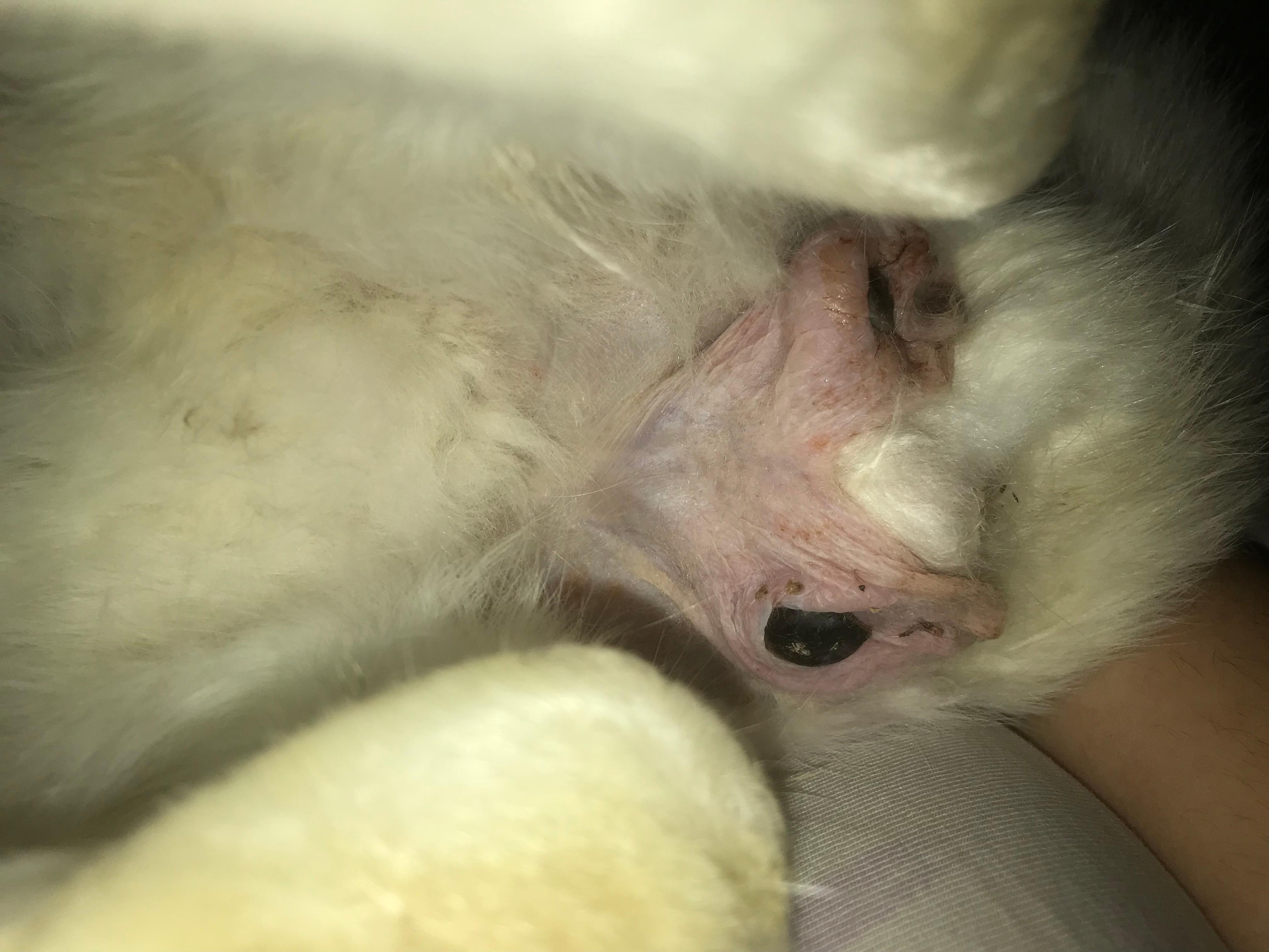 Question details sensitive content