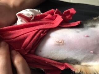 Question details sensitive content