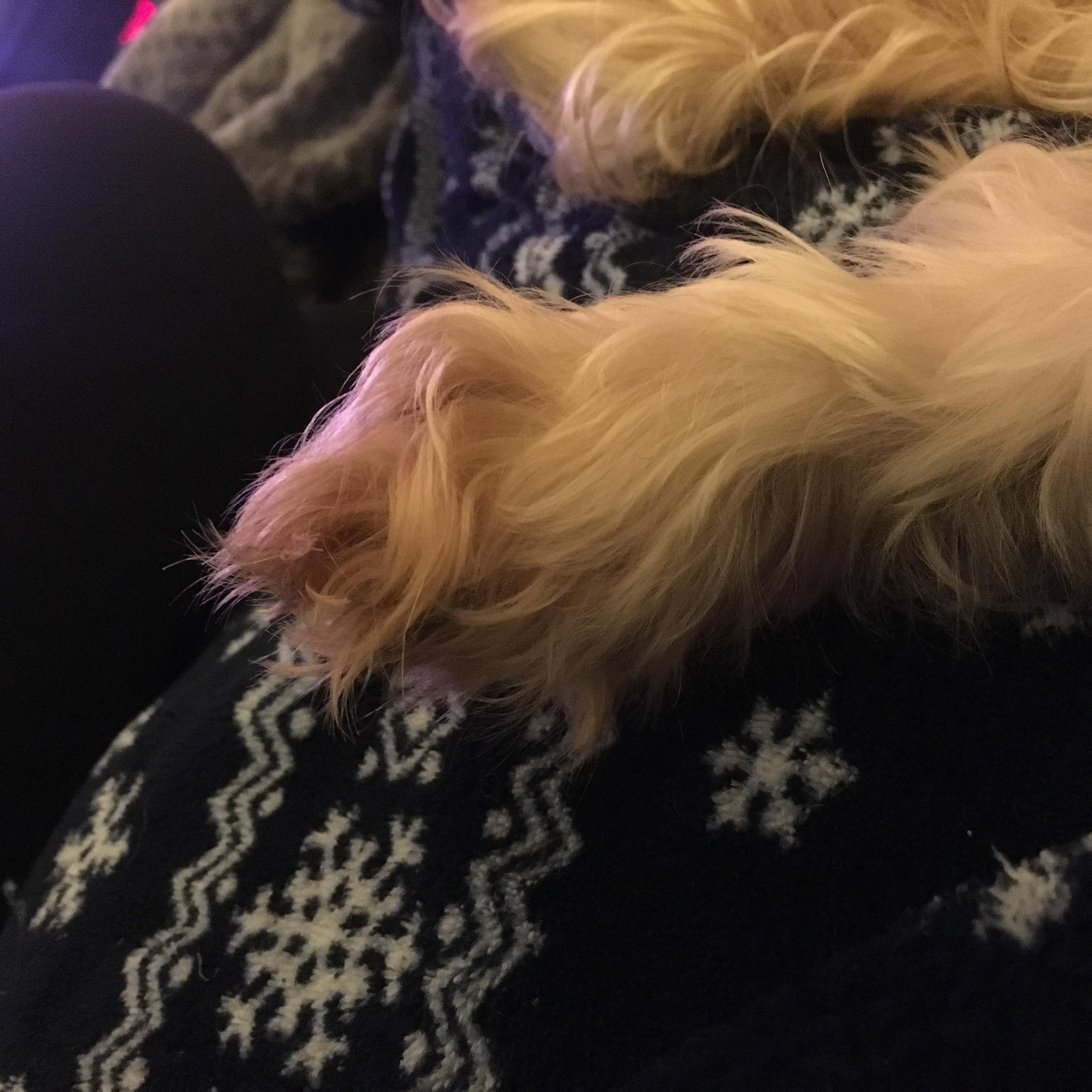 Question details sensitive content