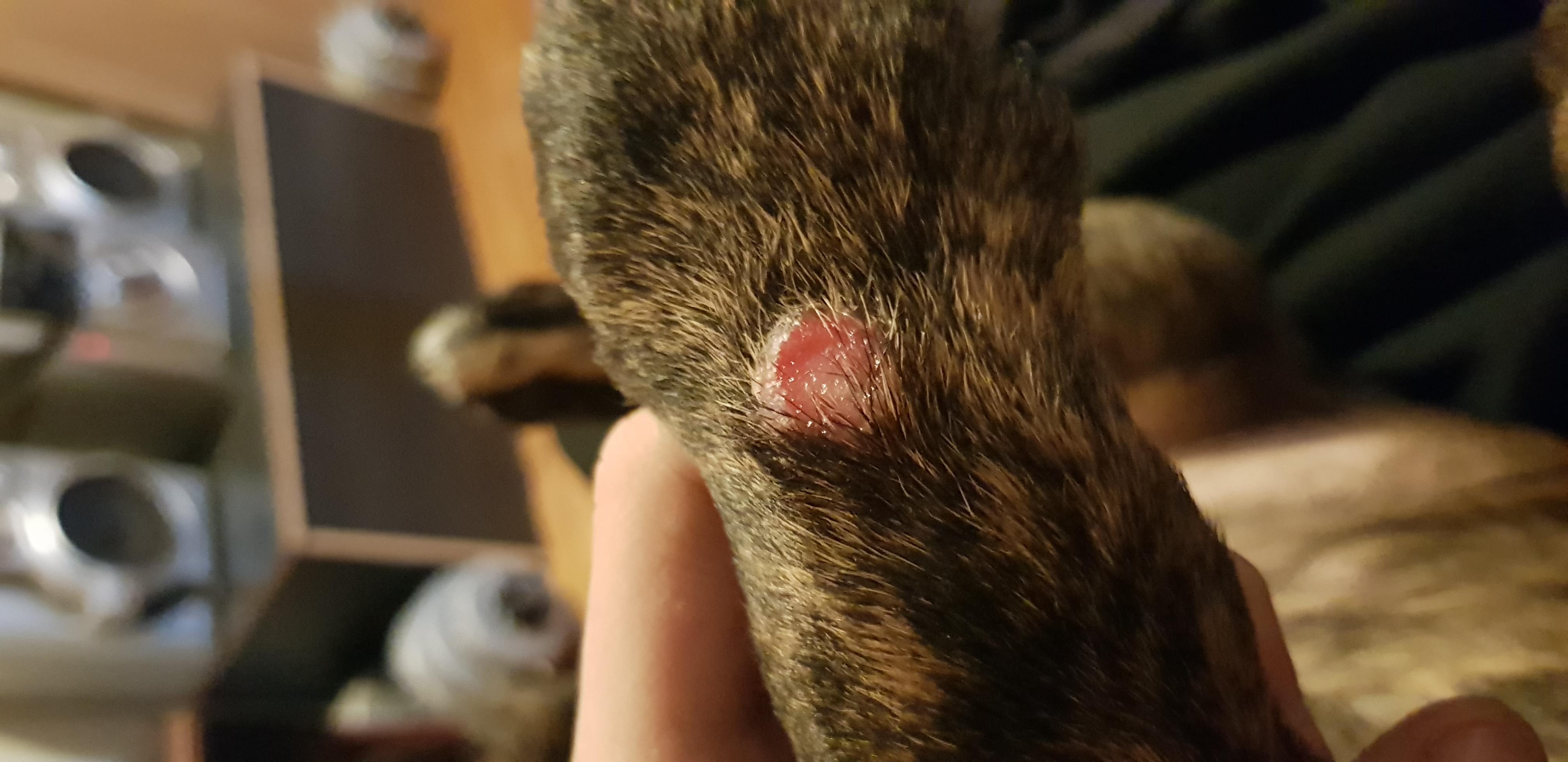 Question details sensitive content