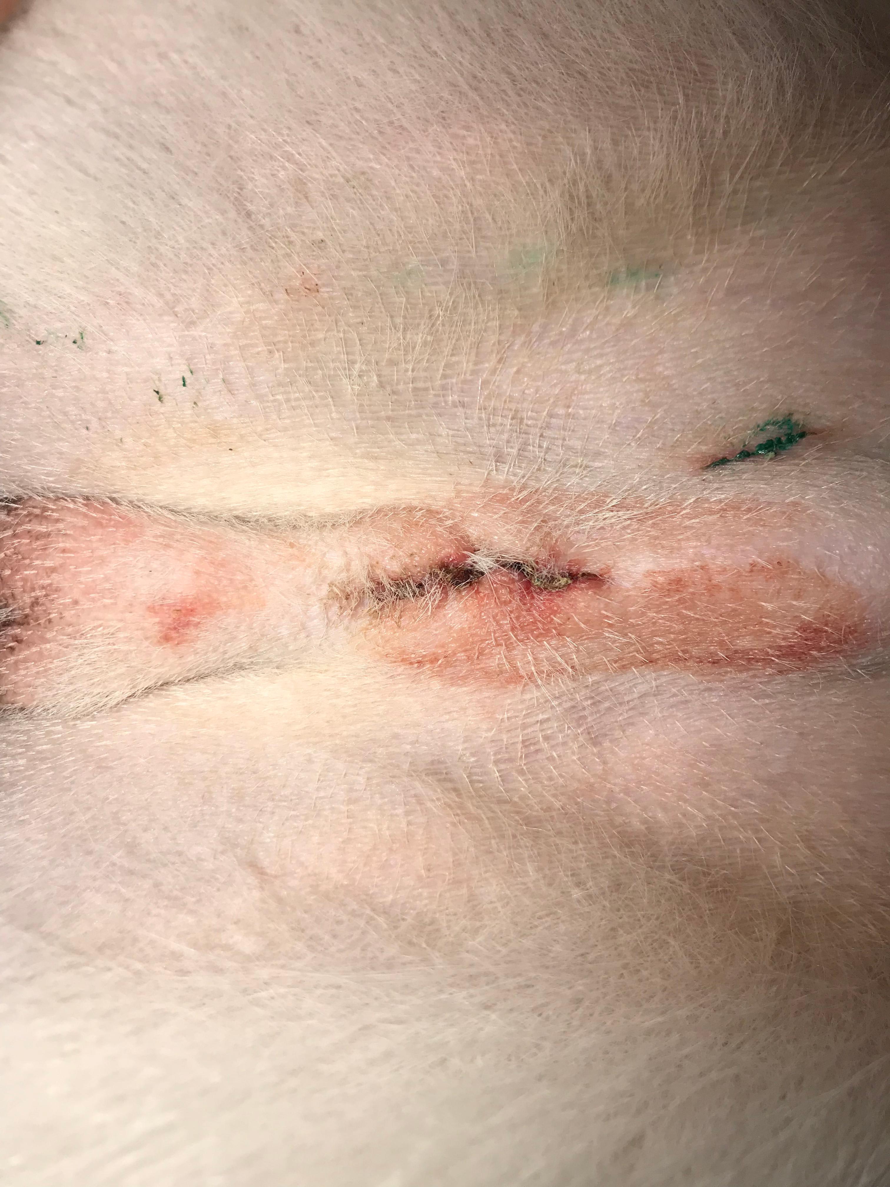 Question details sensitive content