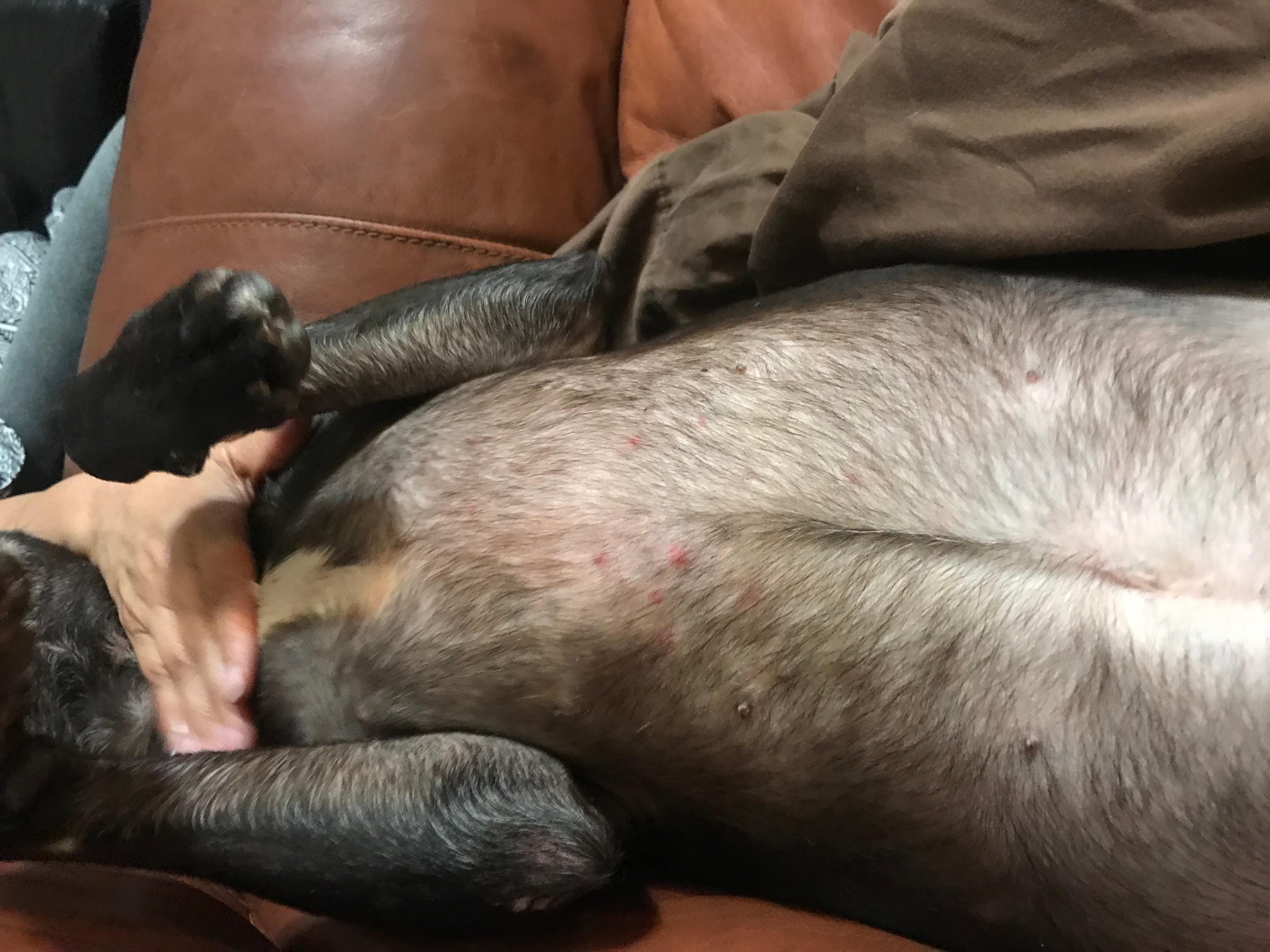 Question details sensitive content