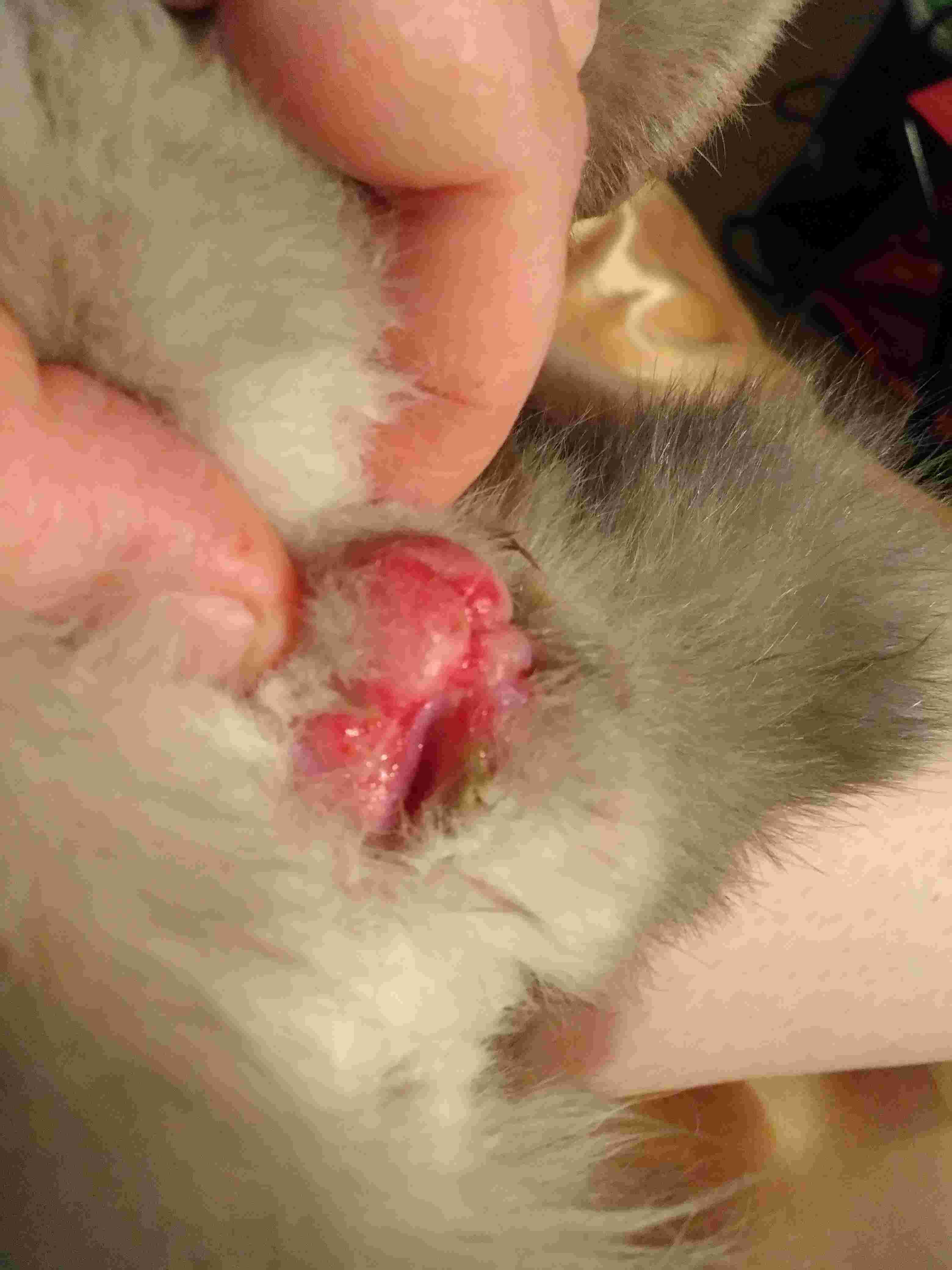 Question details sensitive content