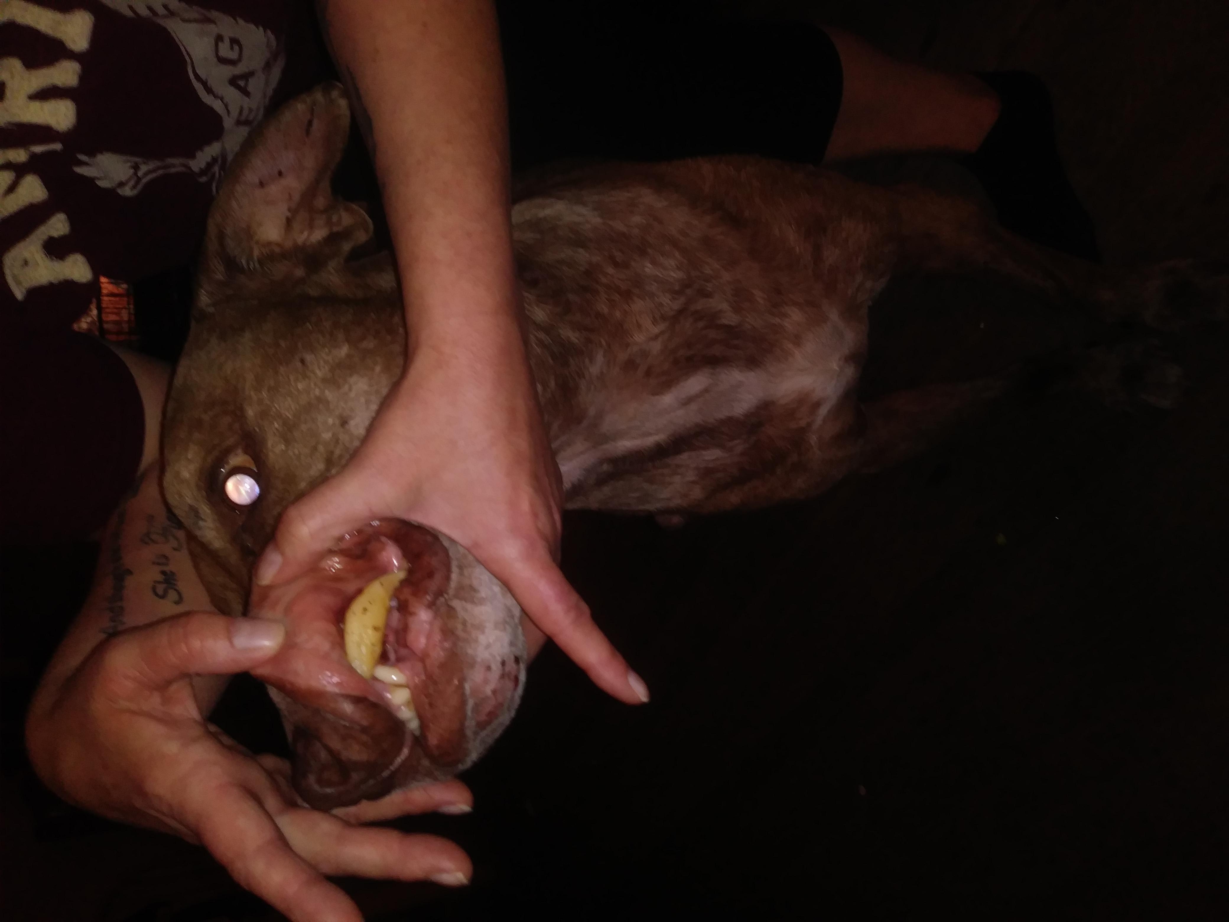 Question details sensitive content