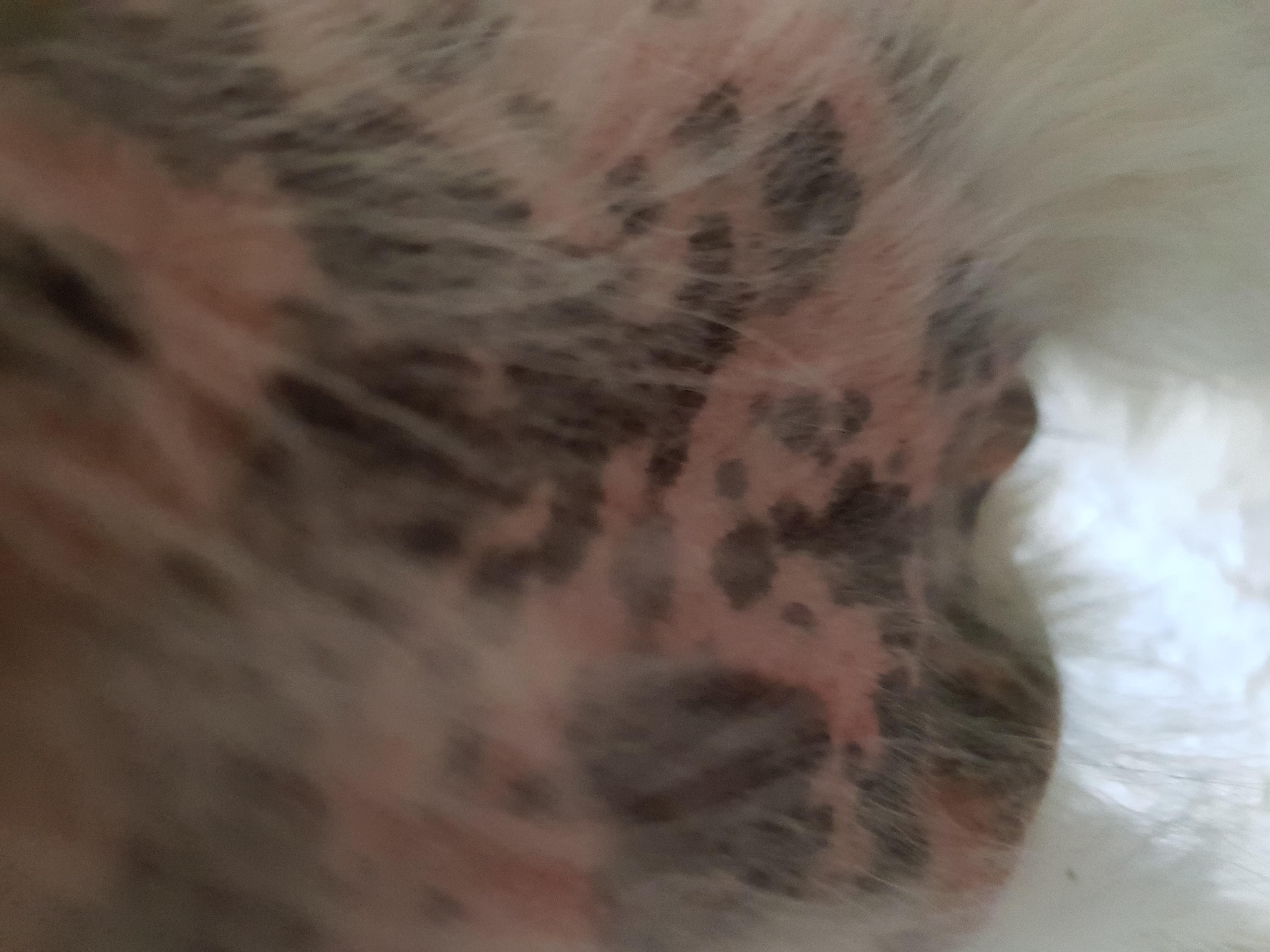 Question details sensitive content