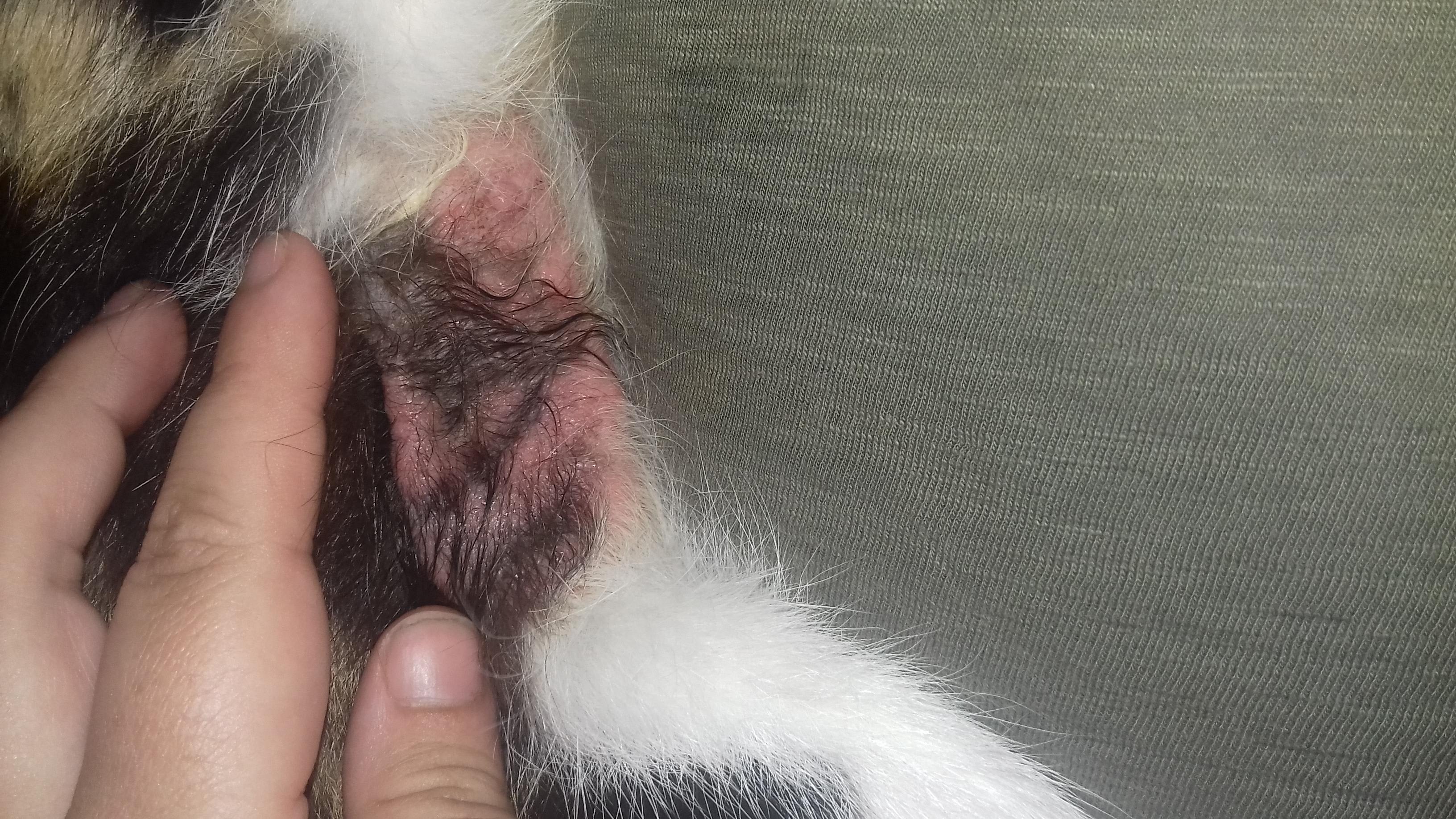 Question details sensitive content