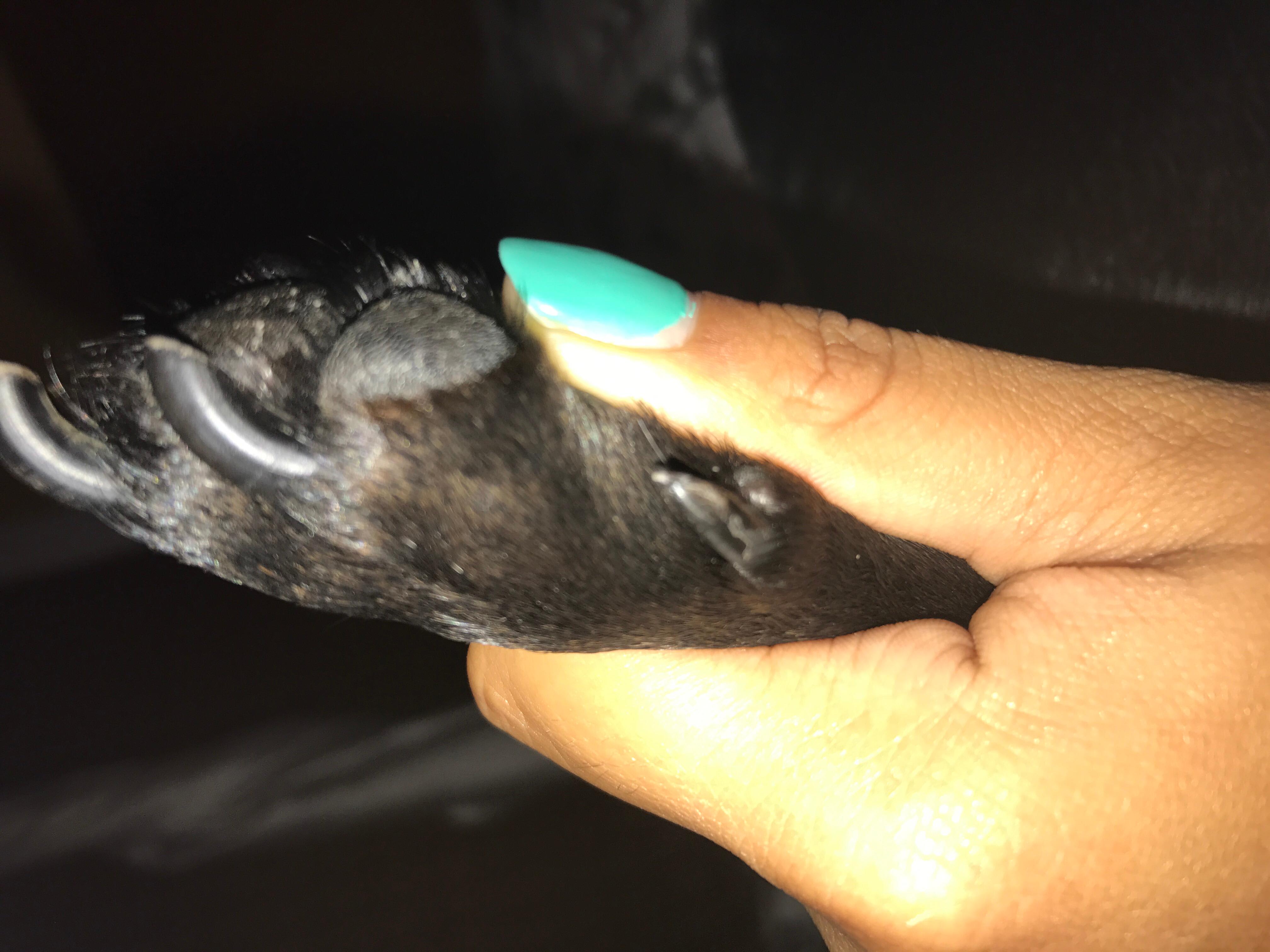 Question details sensitive content