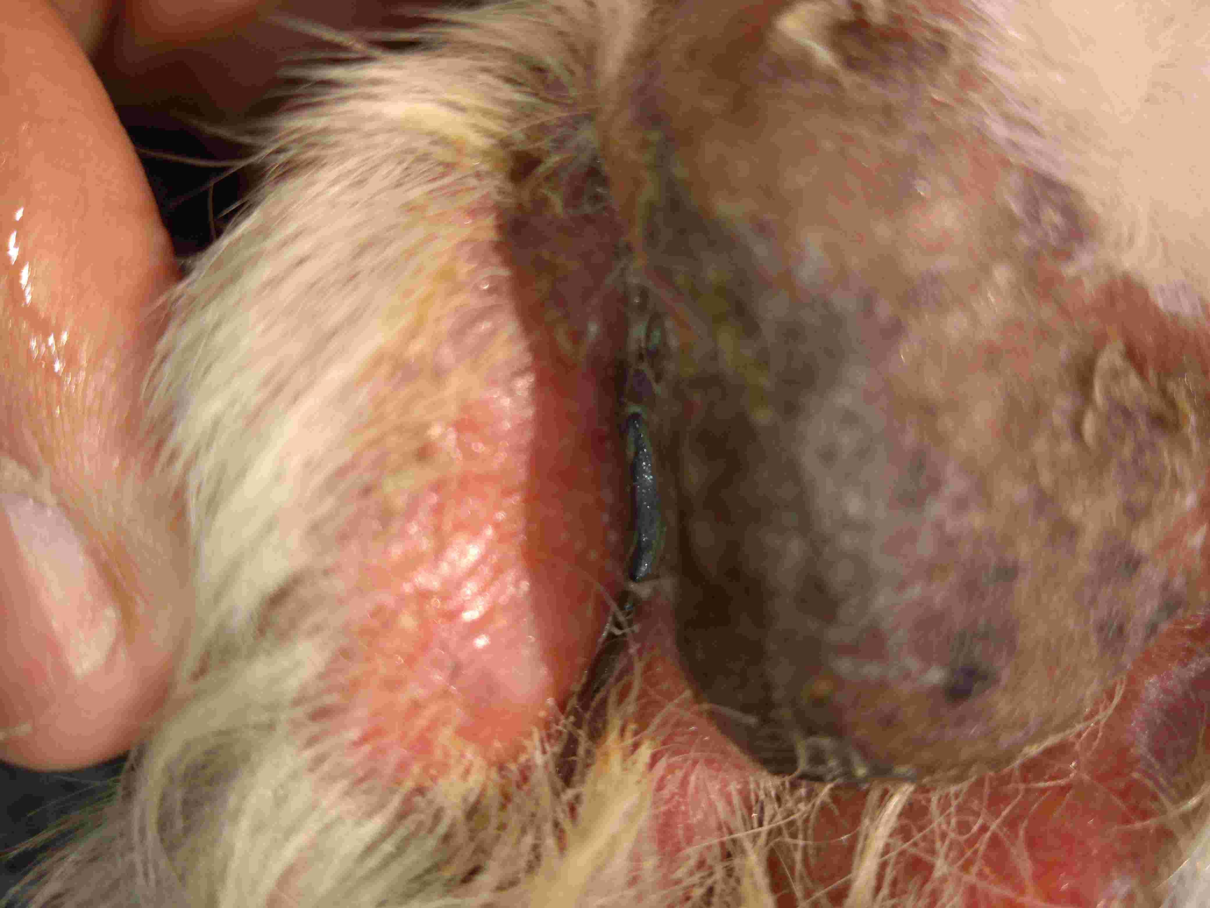 Question details sensitive content