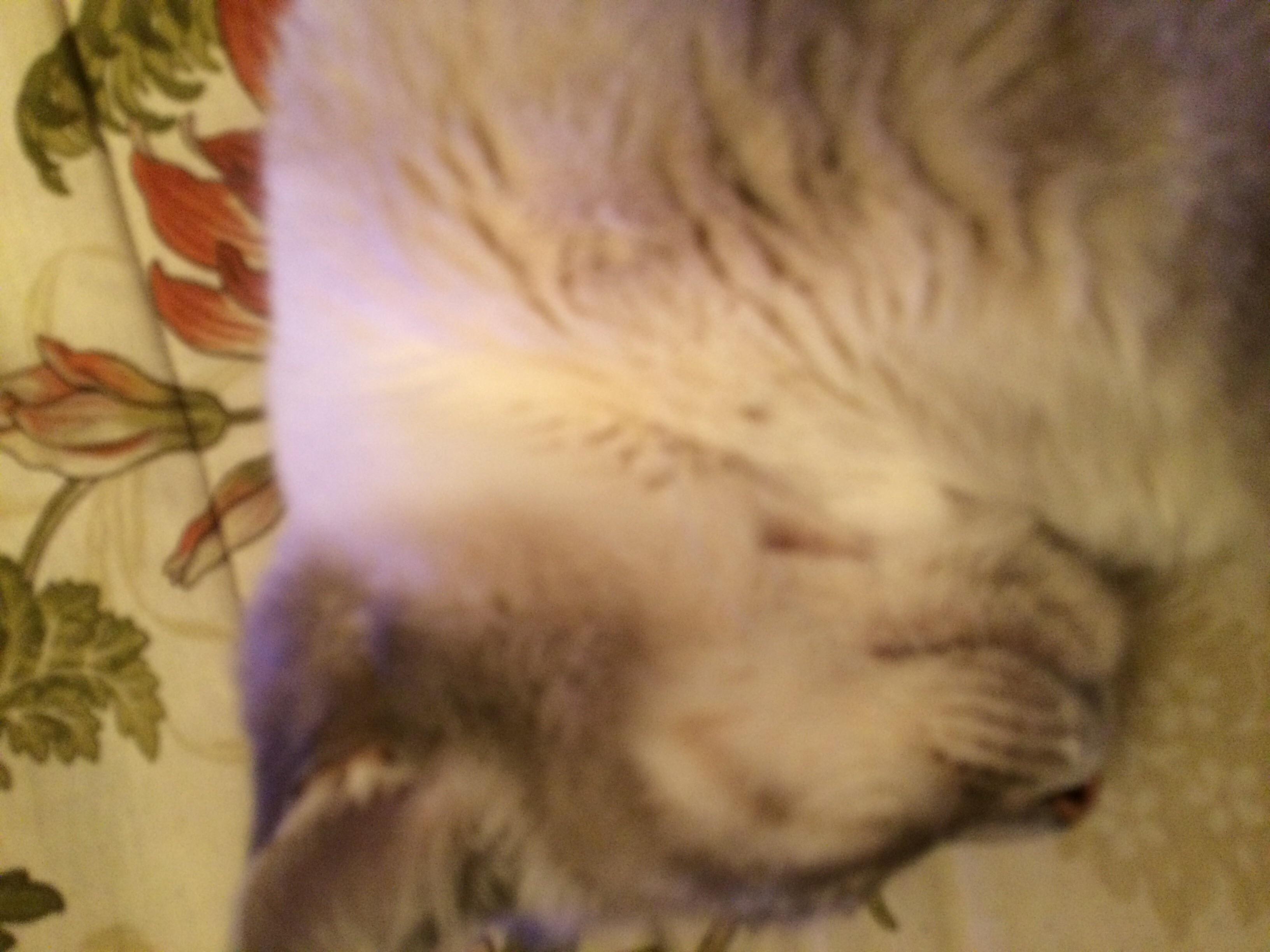 Question details sensitive content