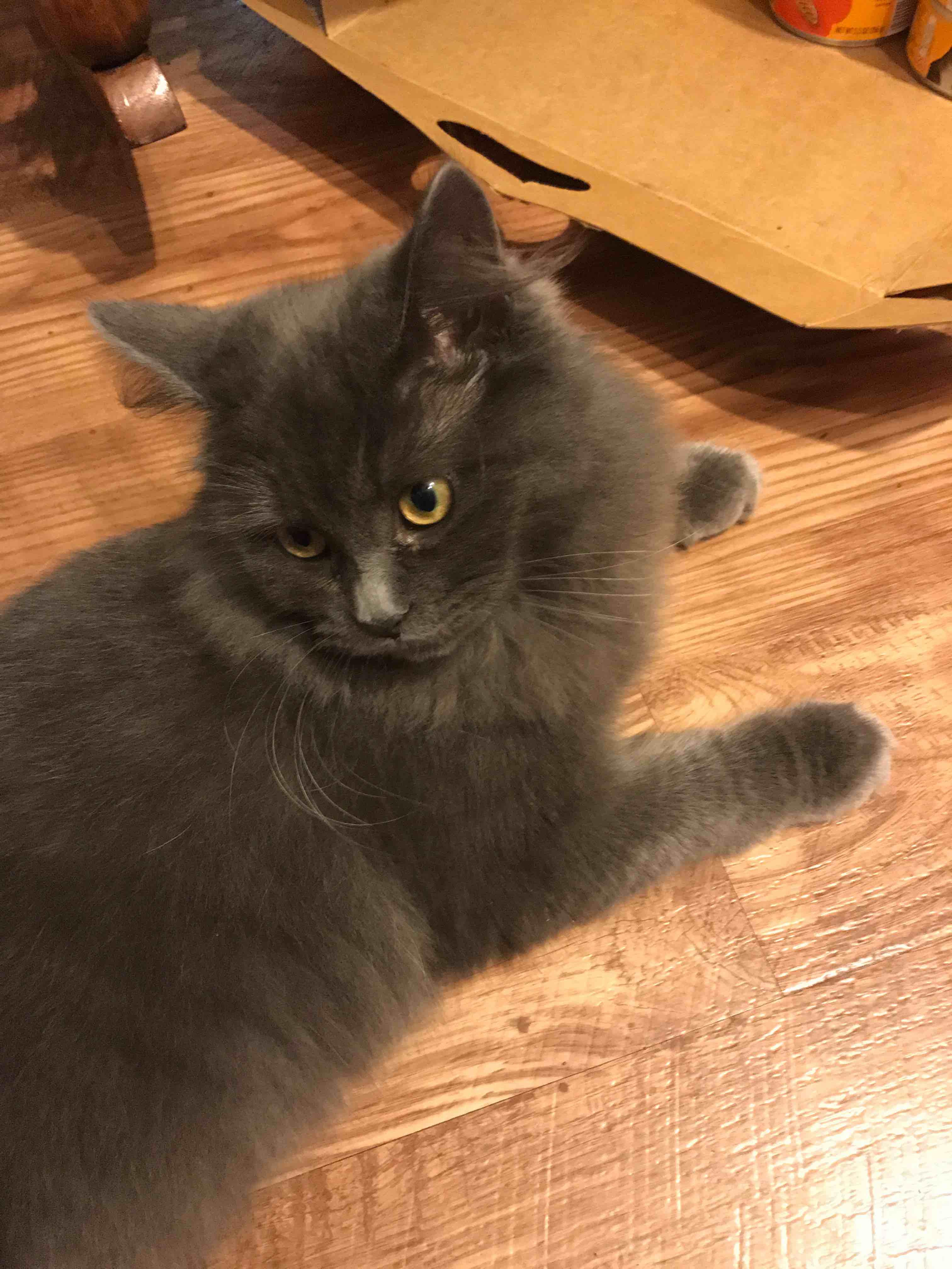 Question details sensitive content