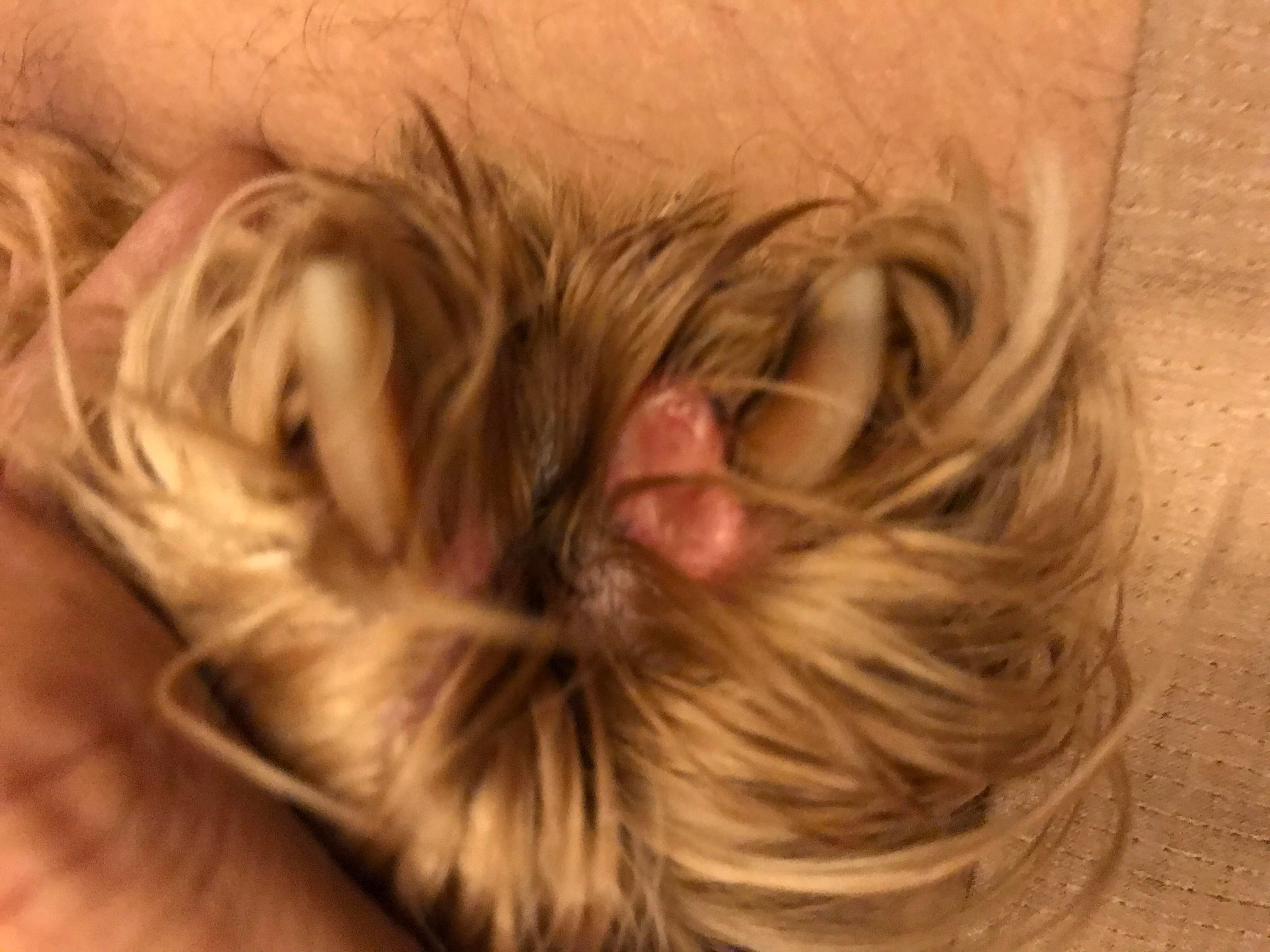 Question details sensitive content