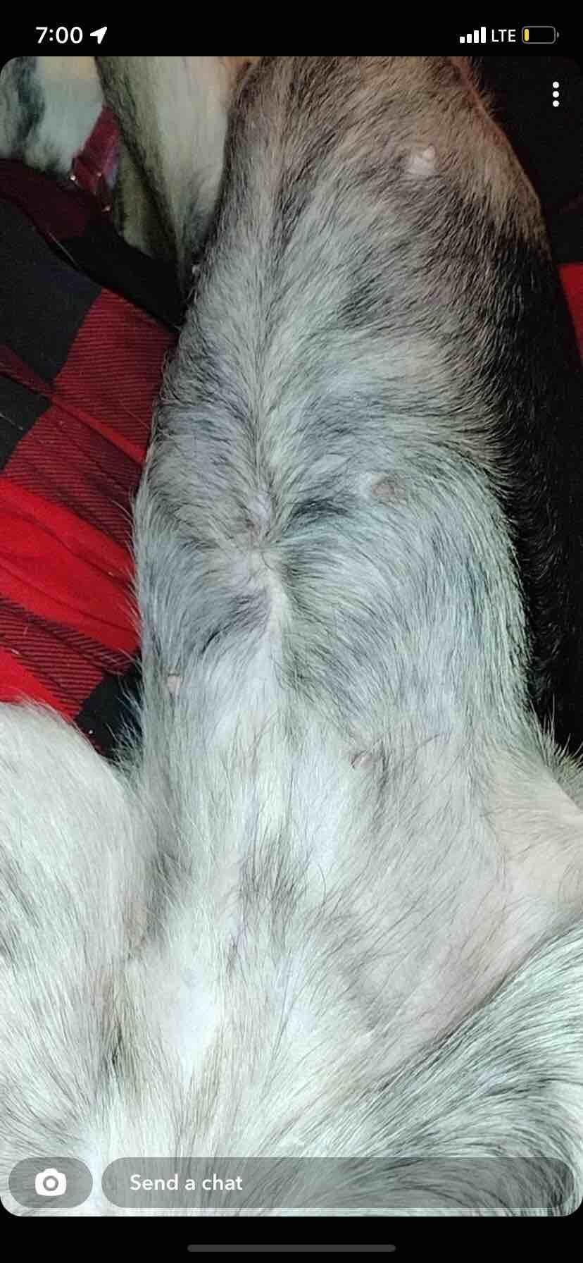 Question details sensitive content