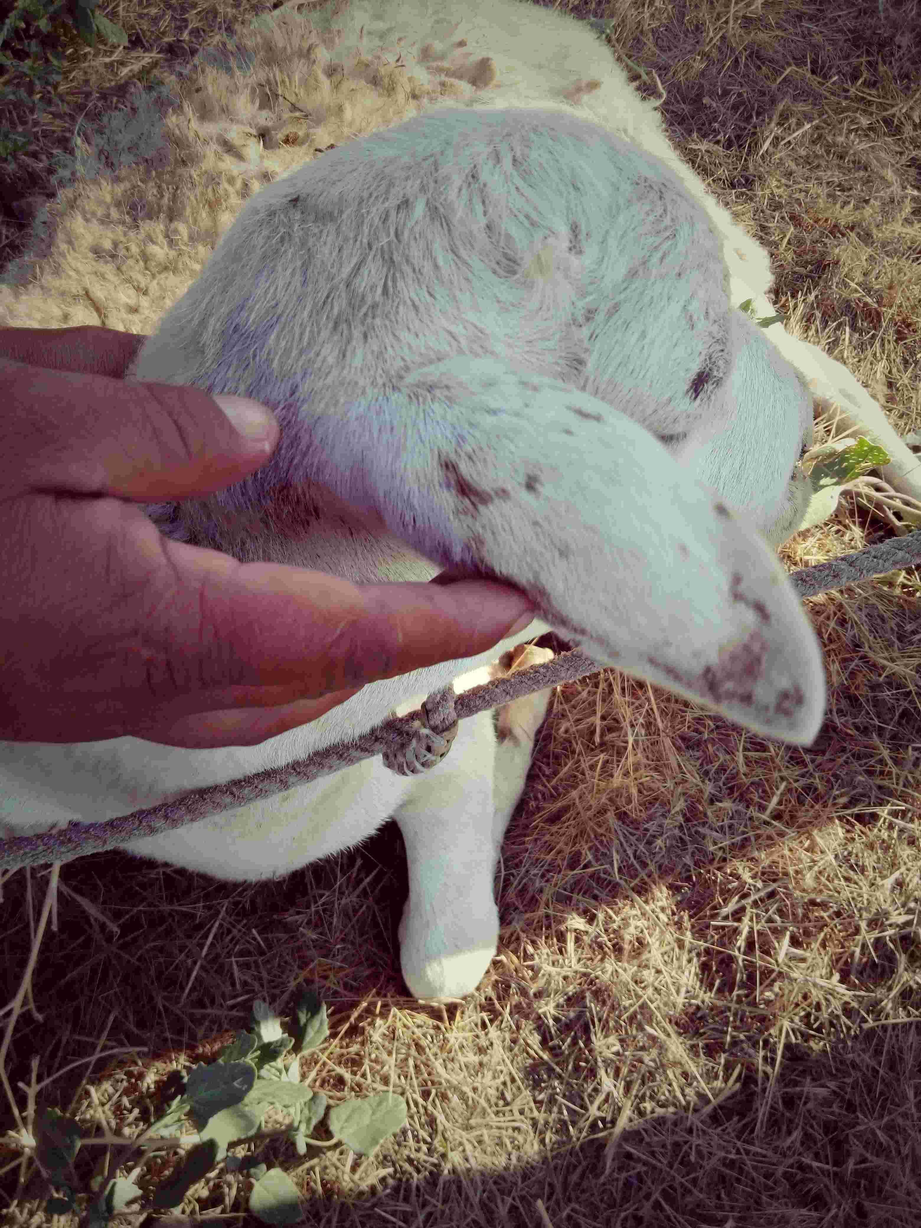 Question details sensitive content