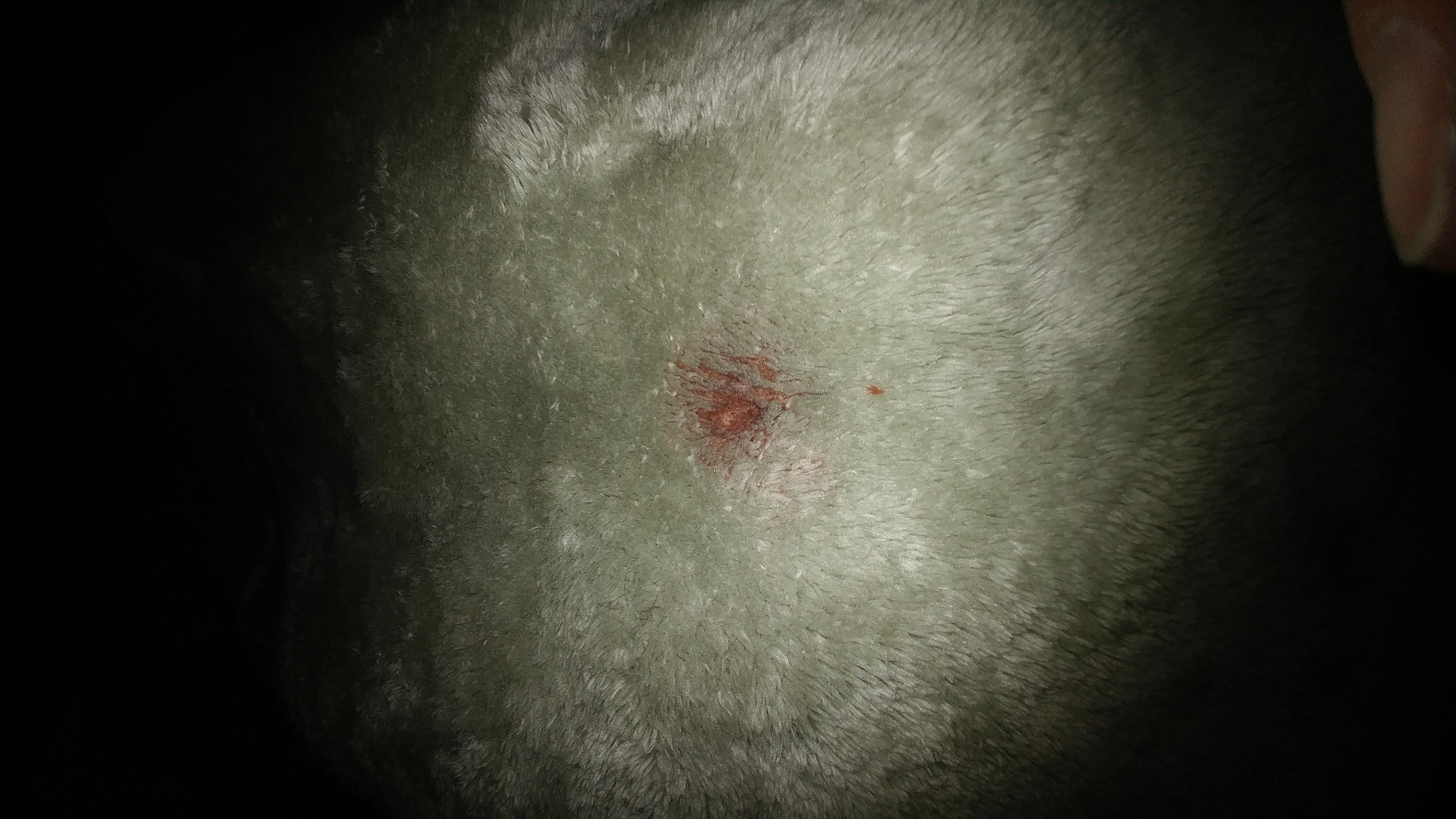 Question details sensitive content