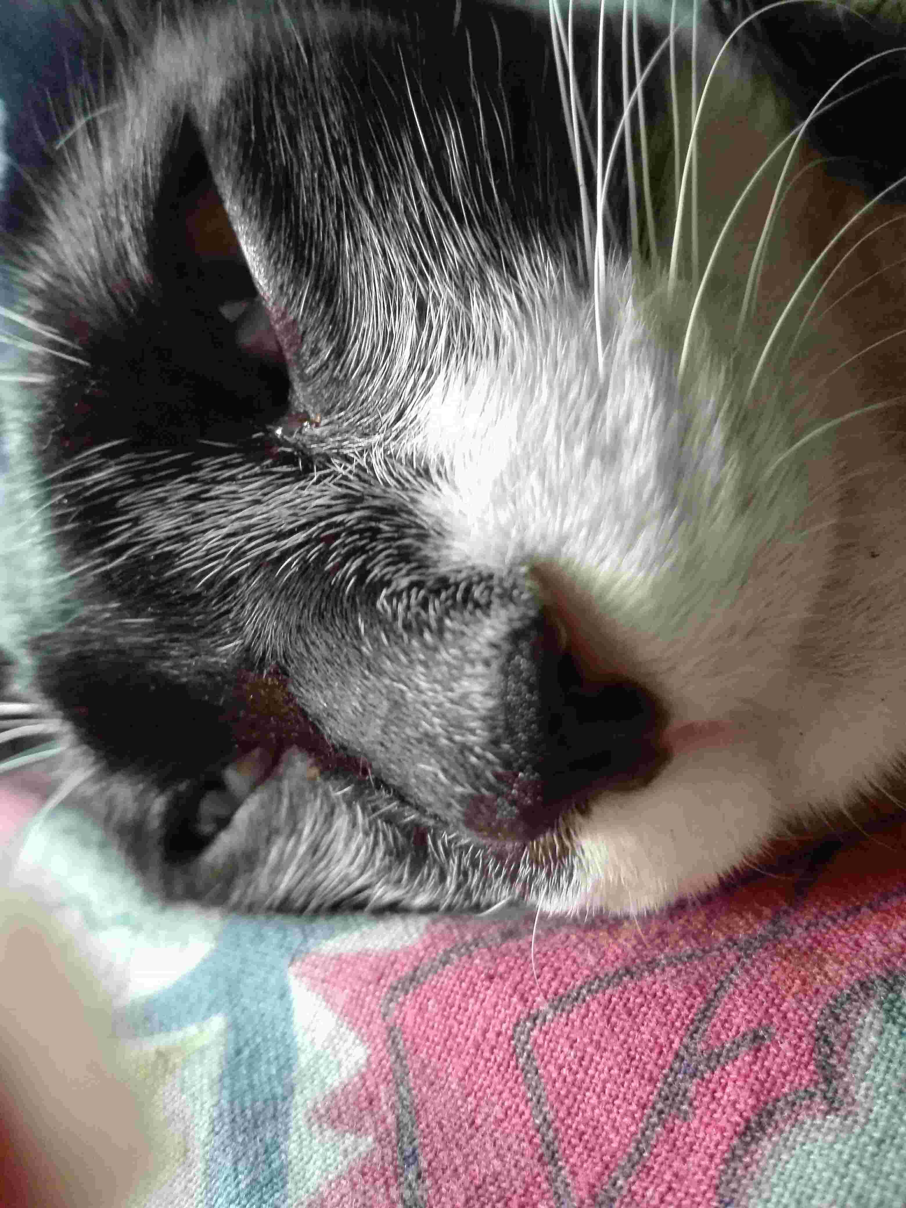 Question details sensitive content