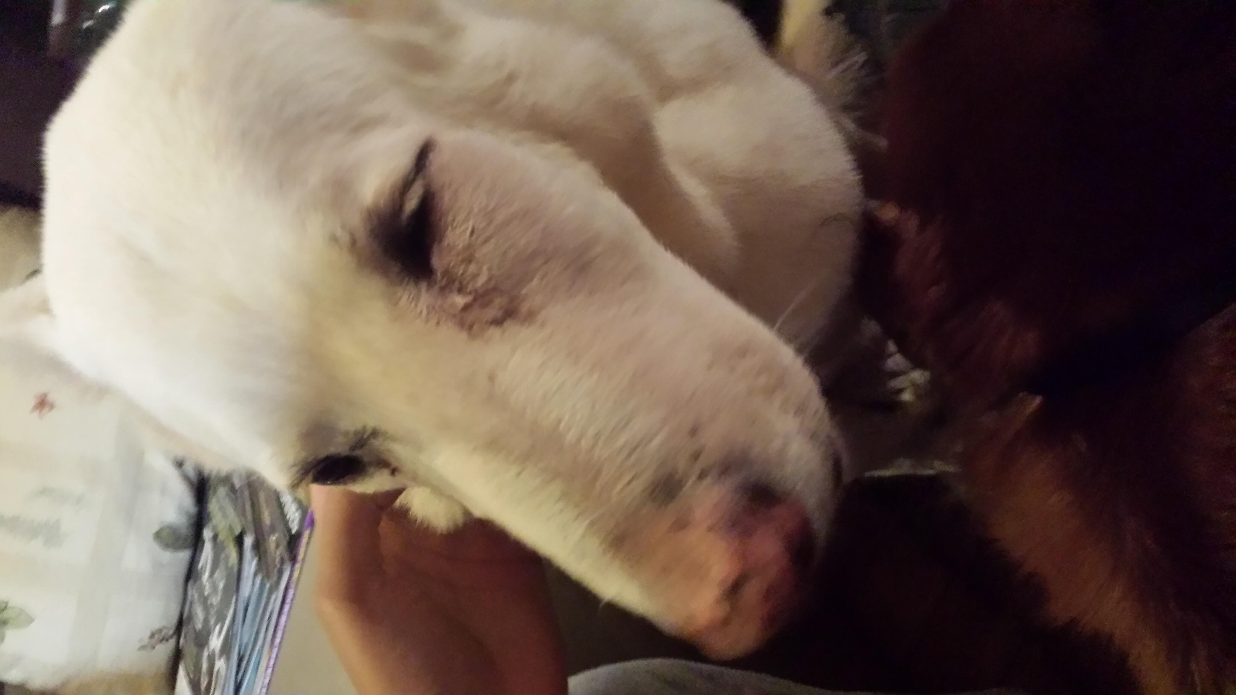 Question details sensitive content