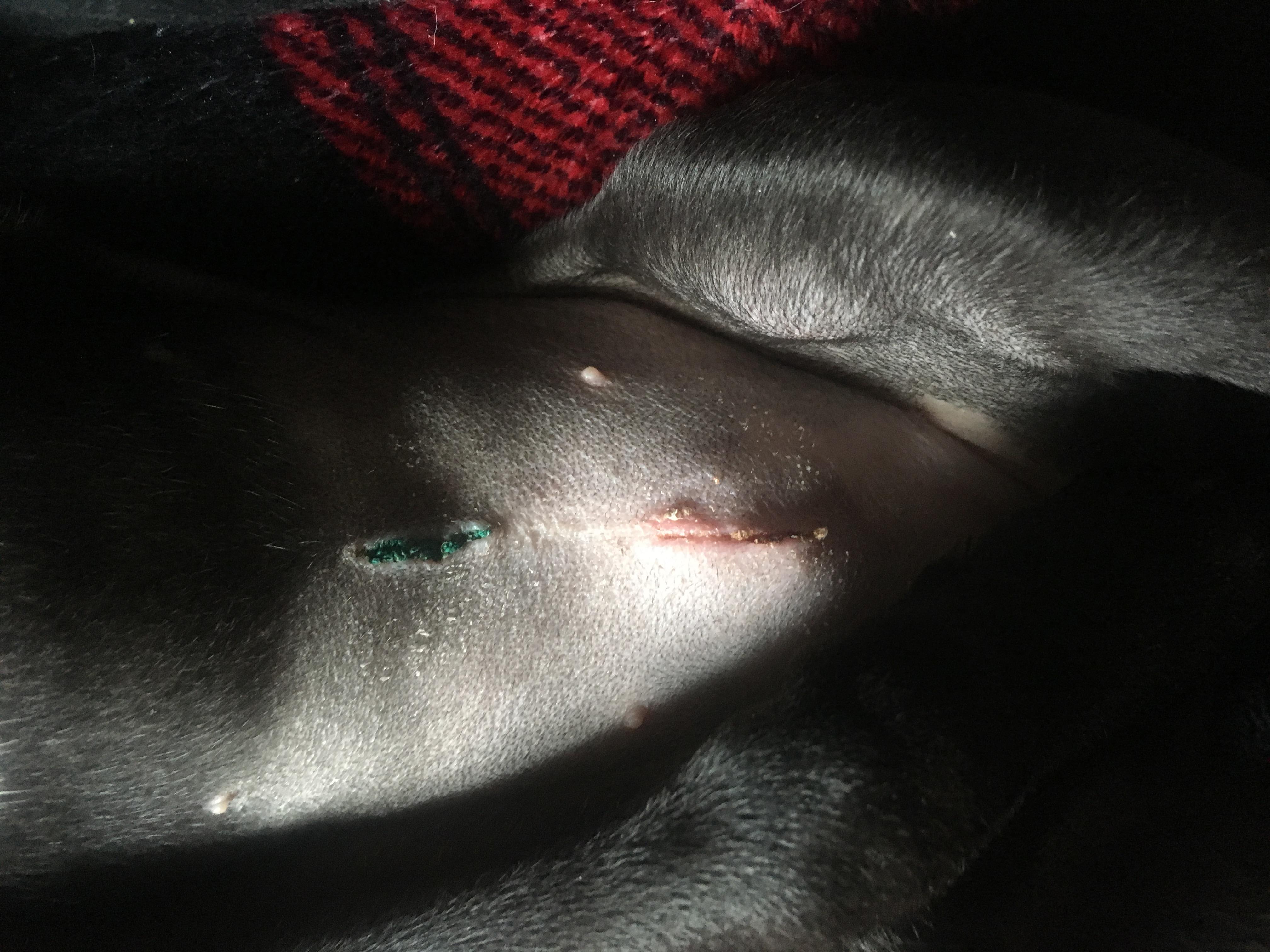 Question details sensitive content