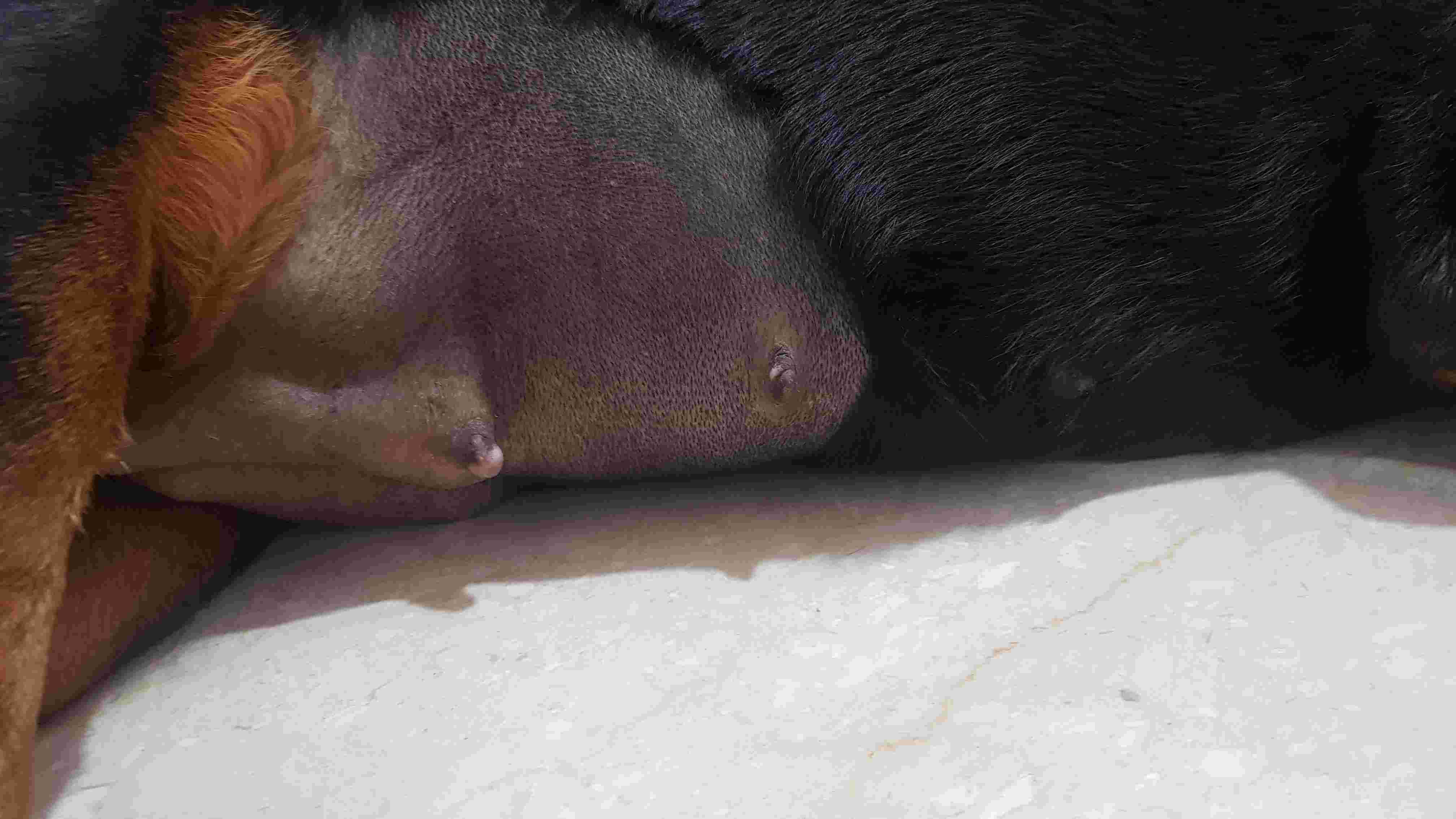 Question details sensitive content