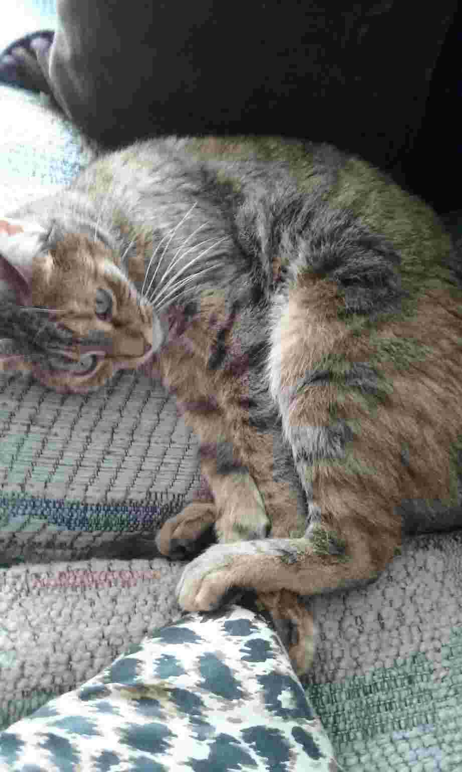 Question details sensitive content