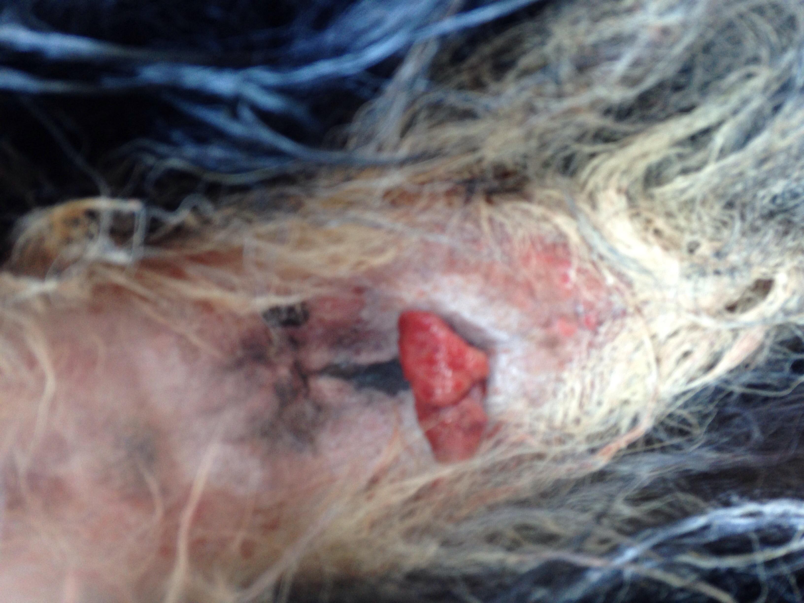 Question details sensitive content