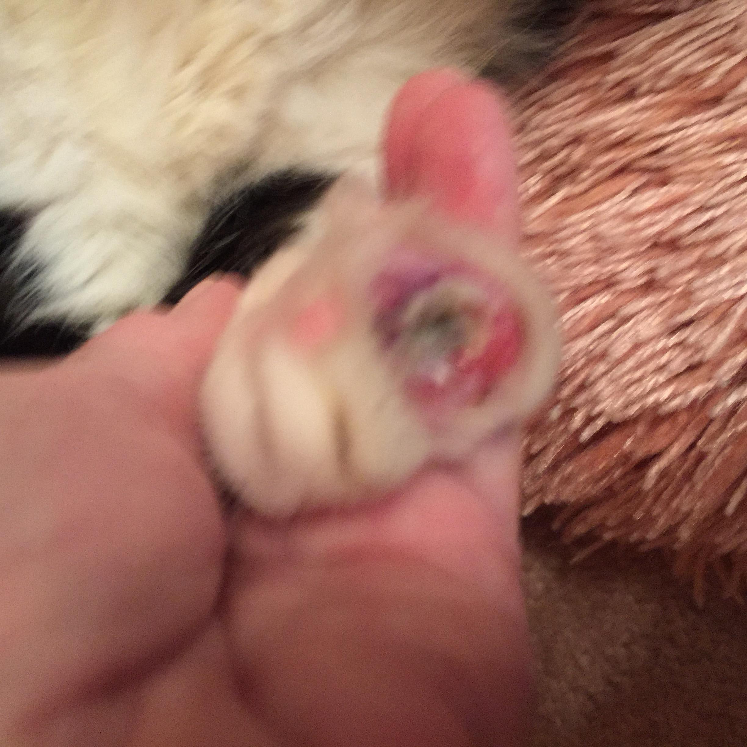 Question details sensitive content