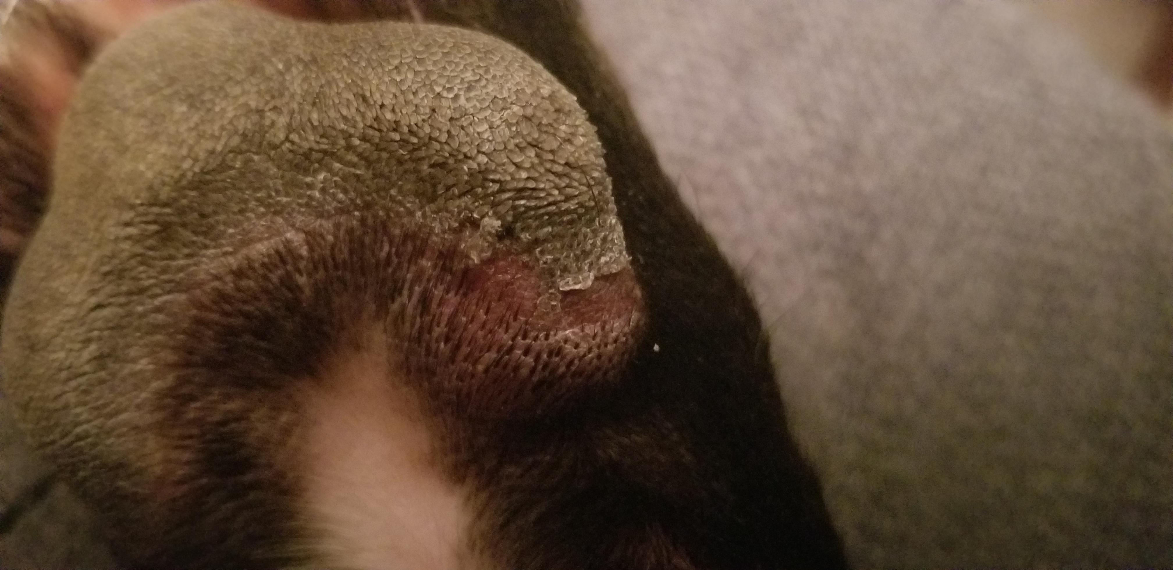 Question details sensitive content