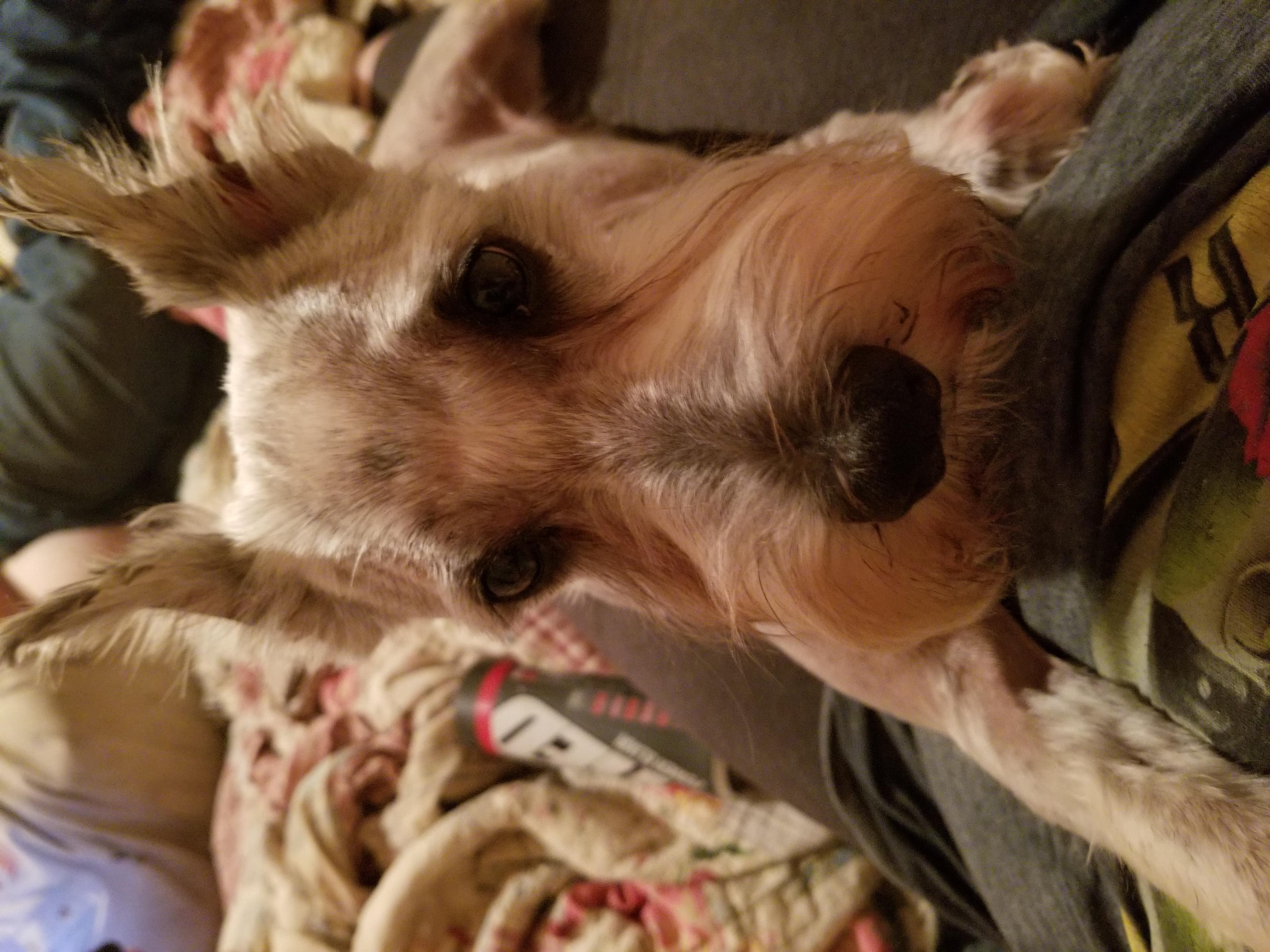 Question details sensitive content