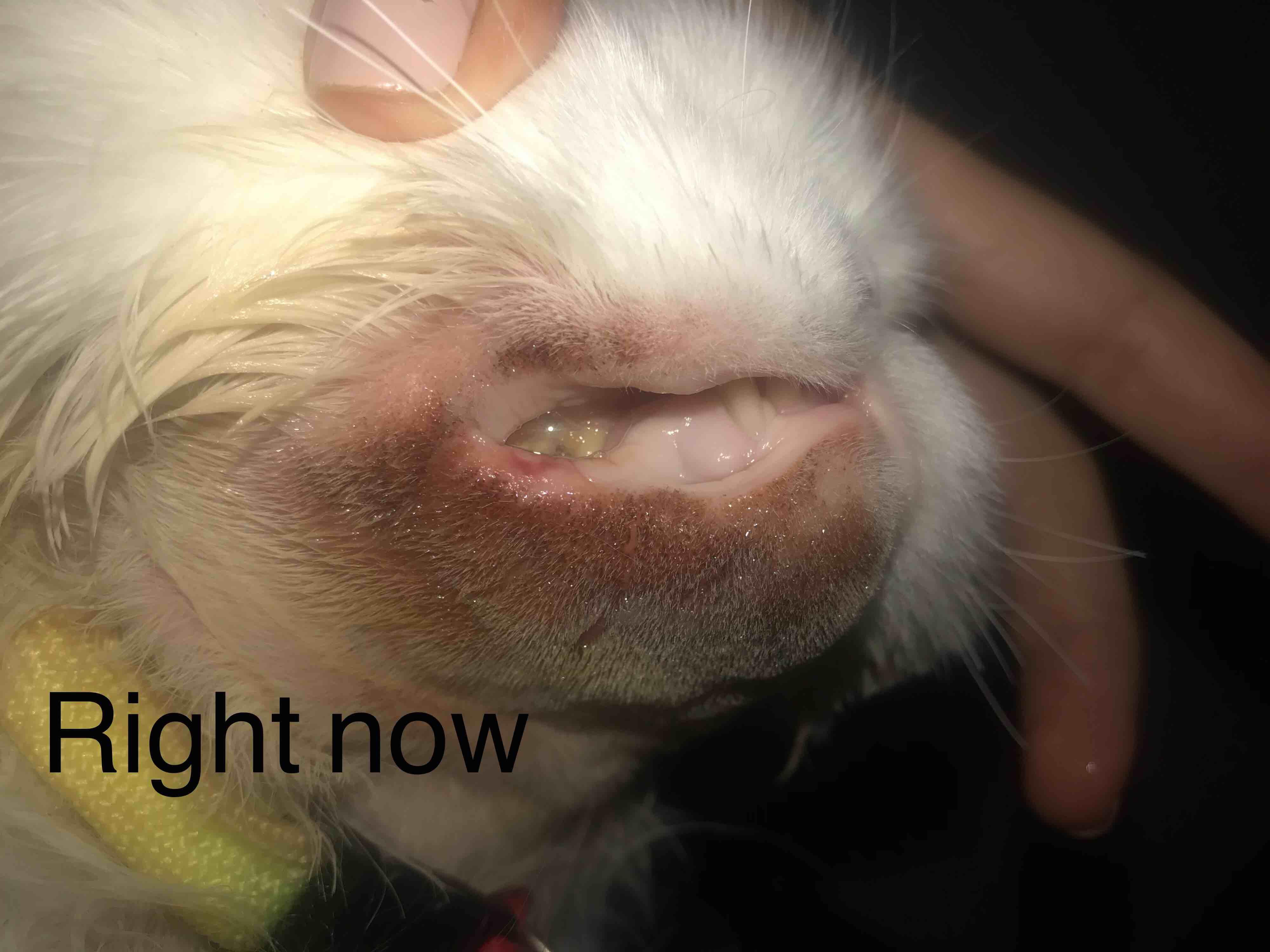 Question details sensitive content