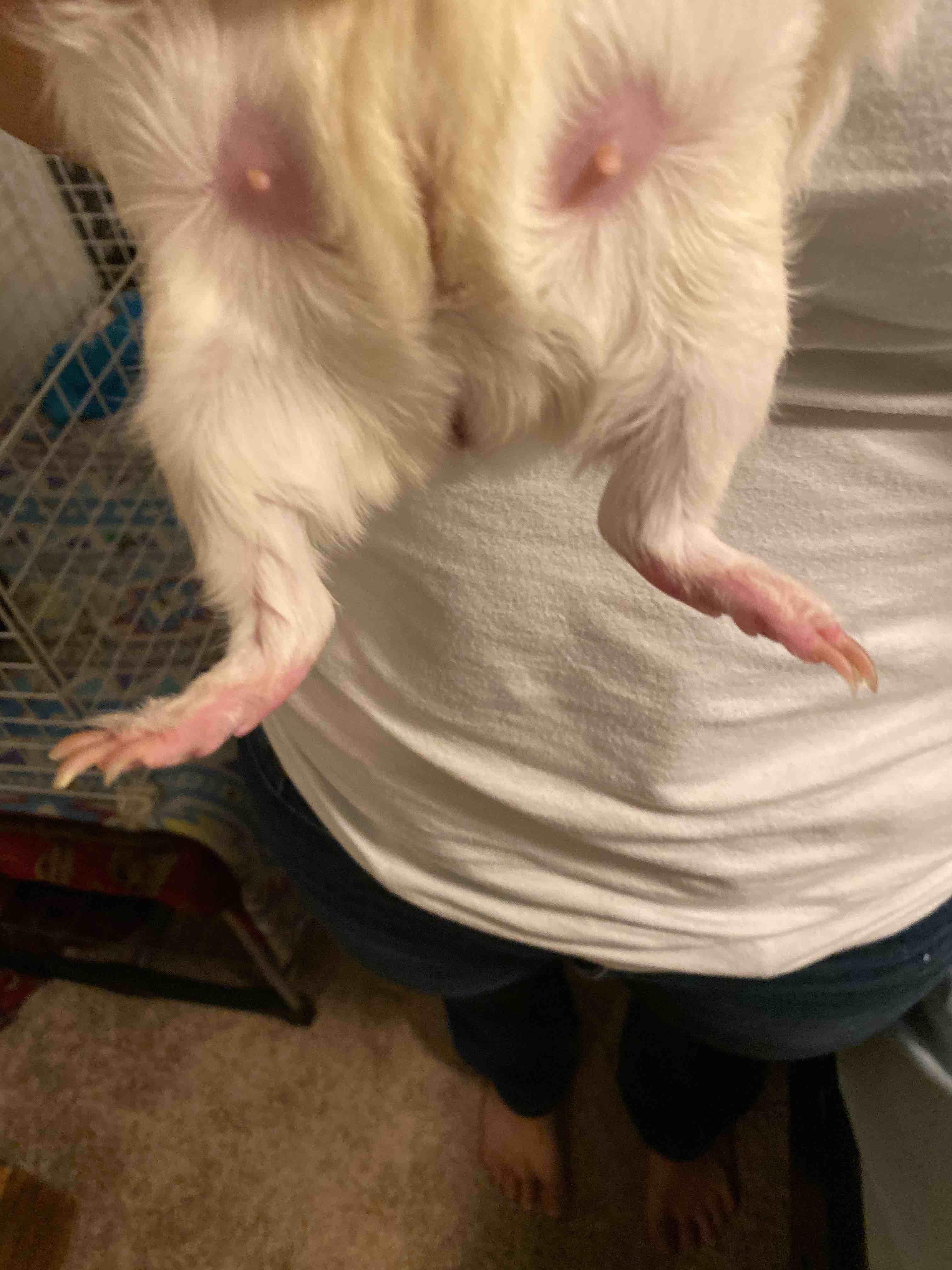 Question details sensitive content