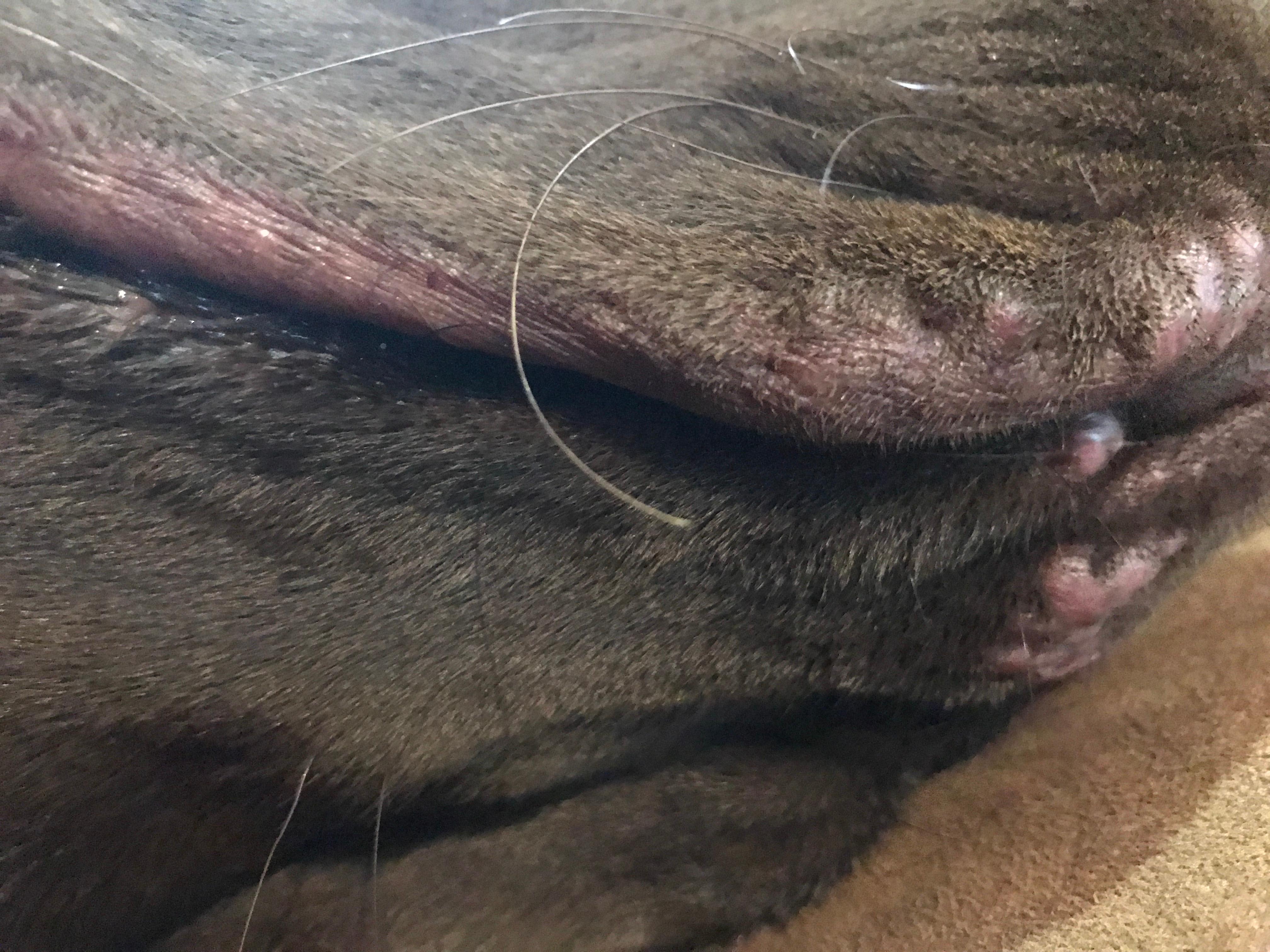 Question details sensitive content