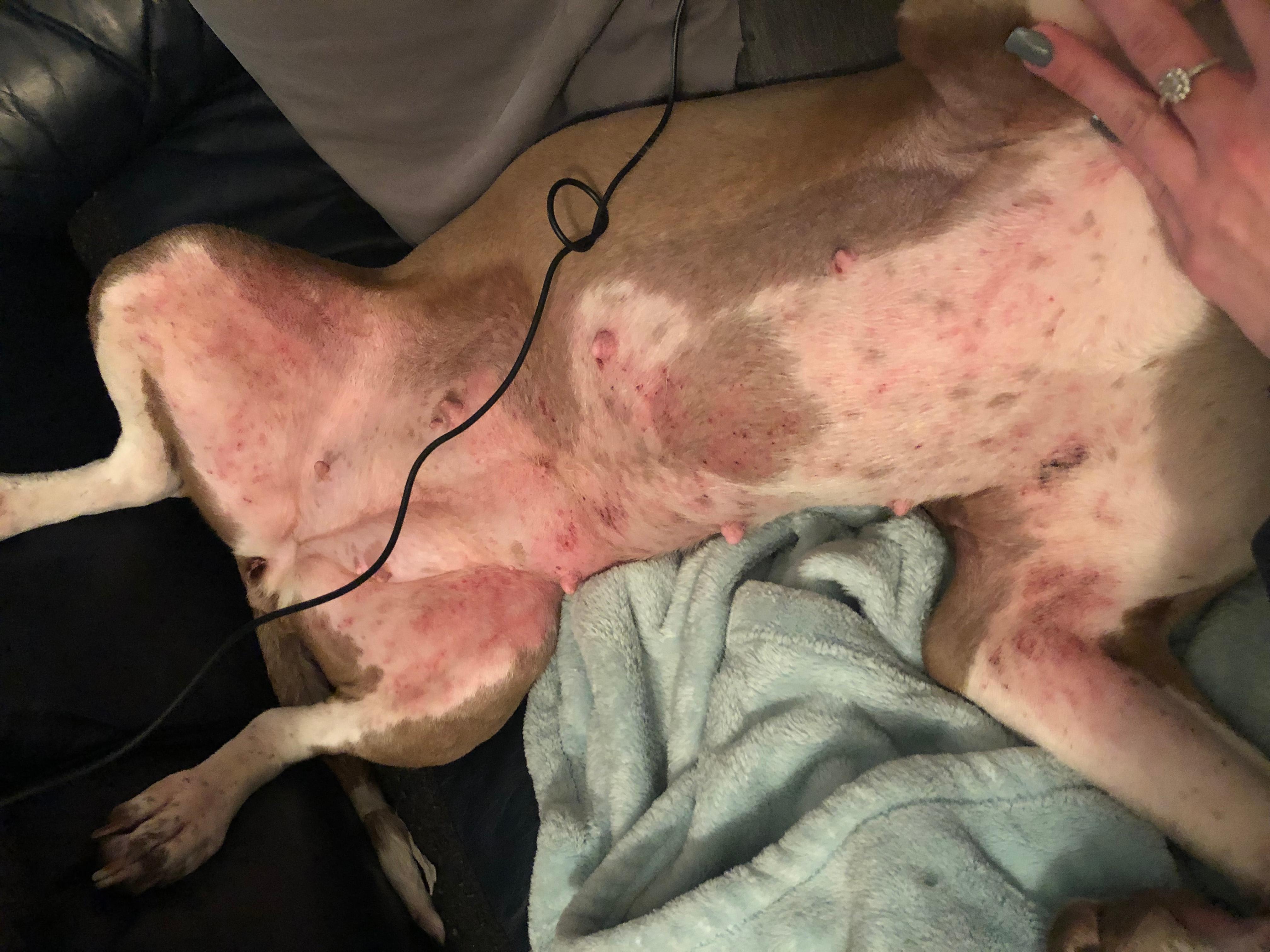 Question details sensitive content