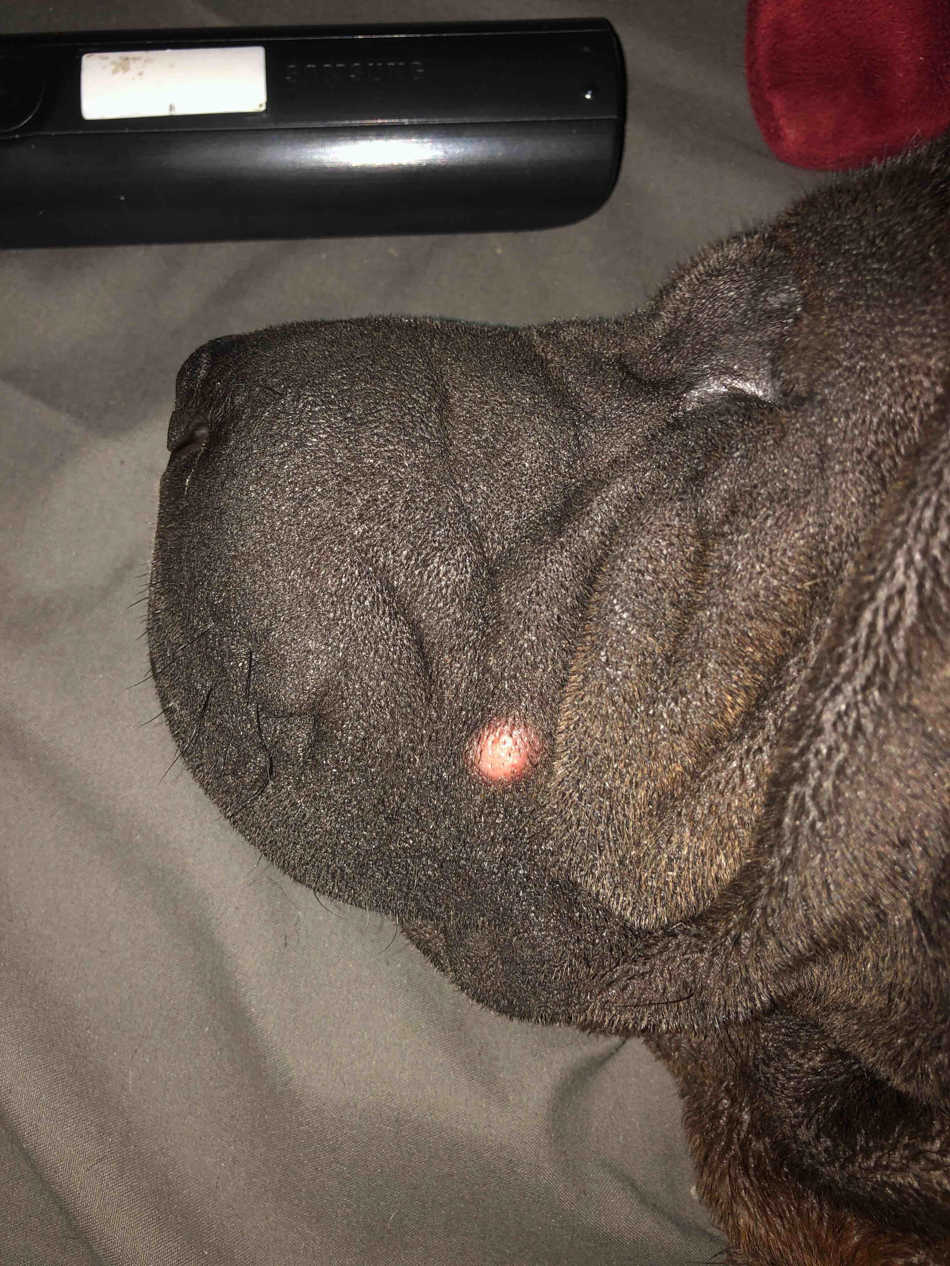 Question details sensitive content